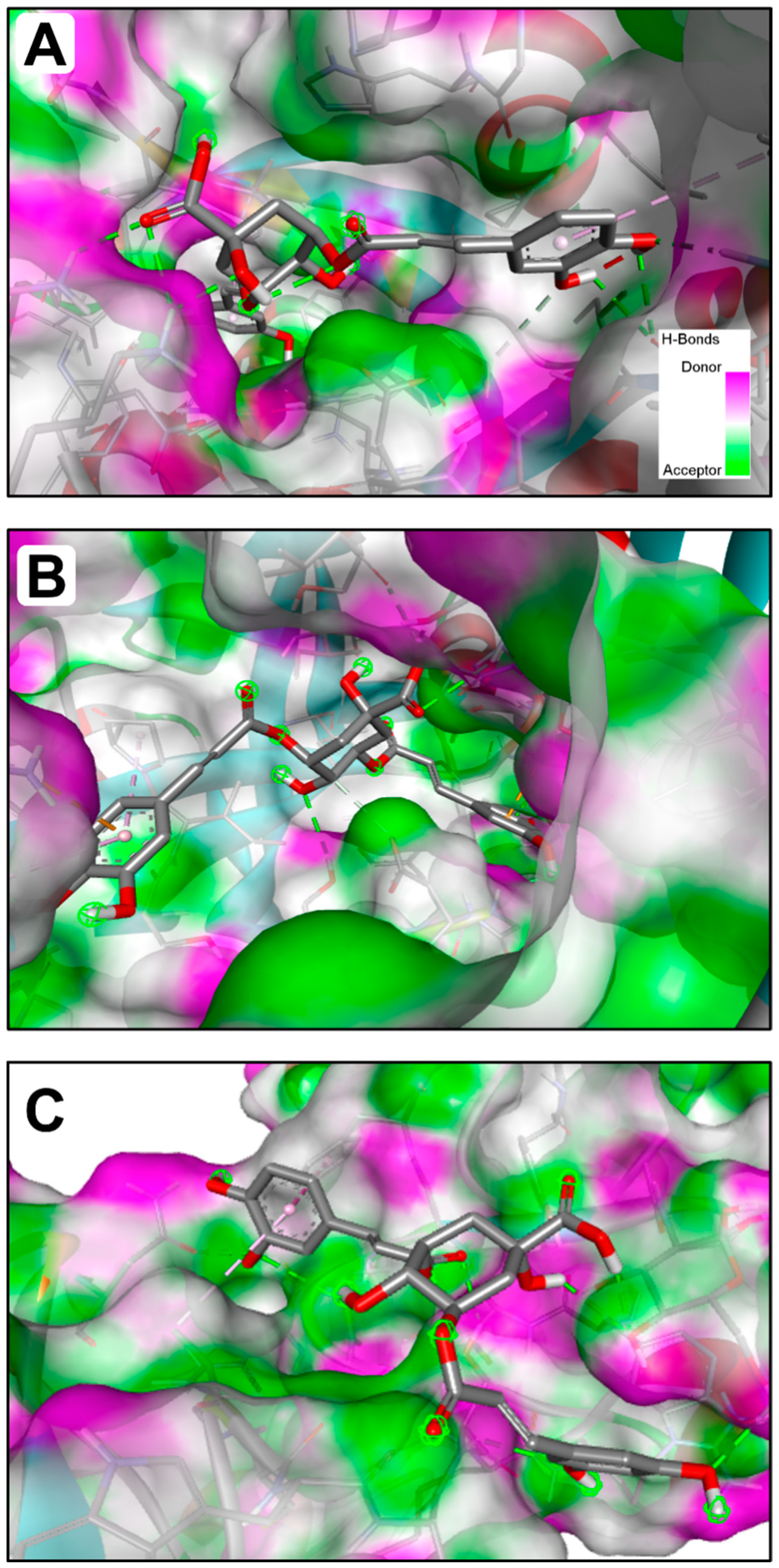 Molecules 28 07439 g002