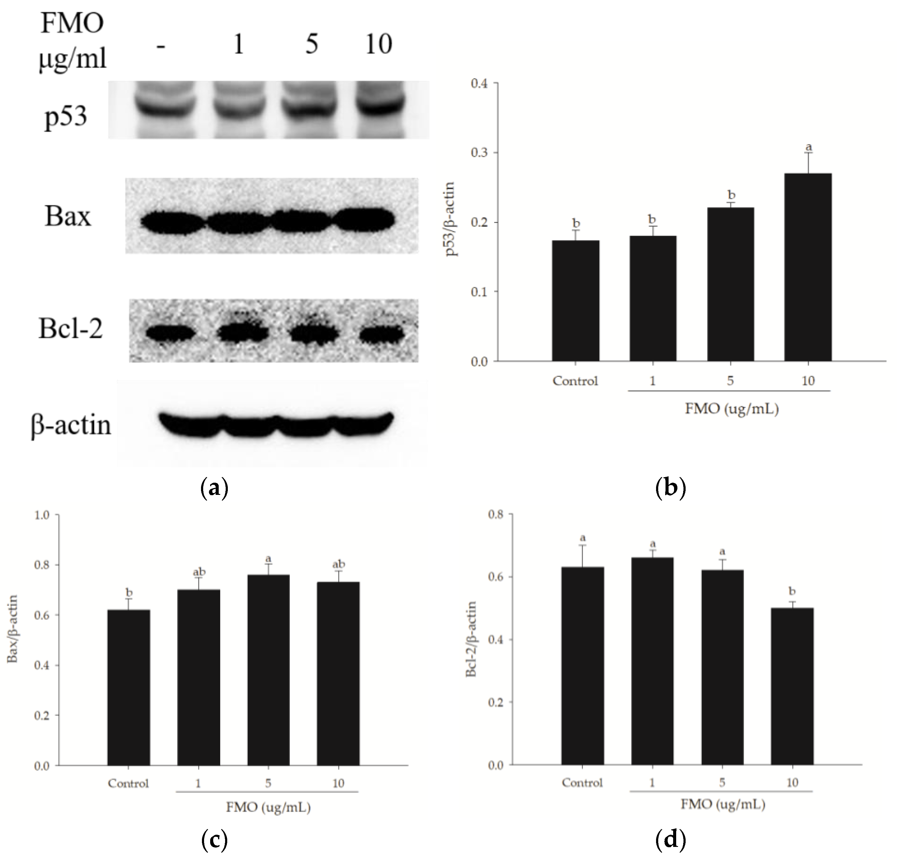 Molecules 28 07445 g004