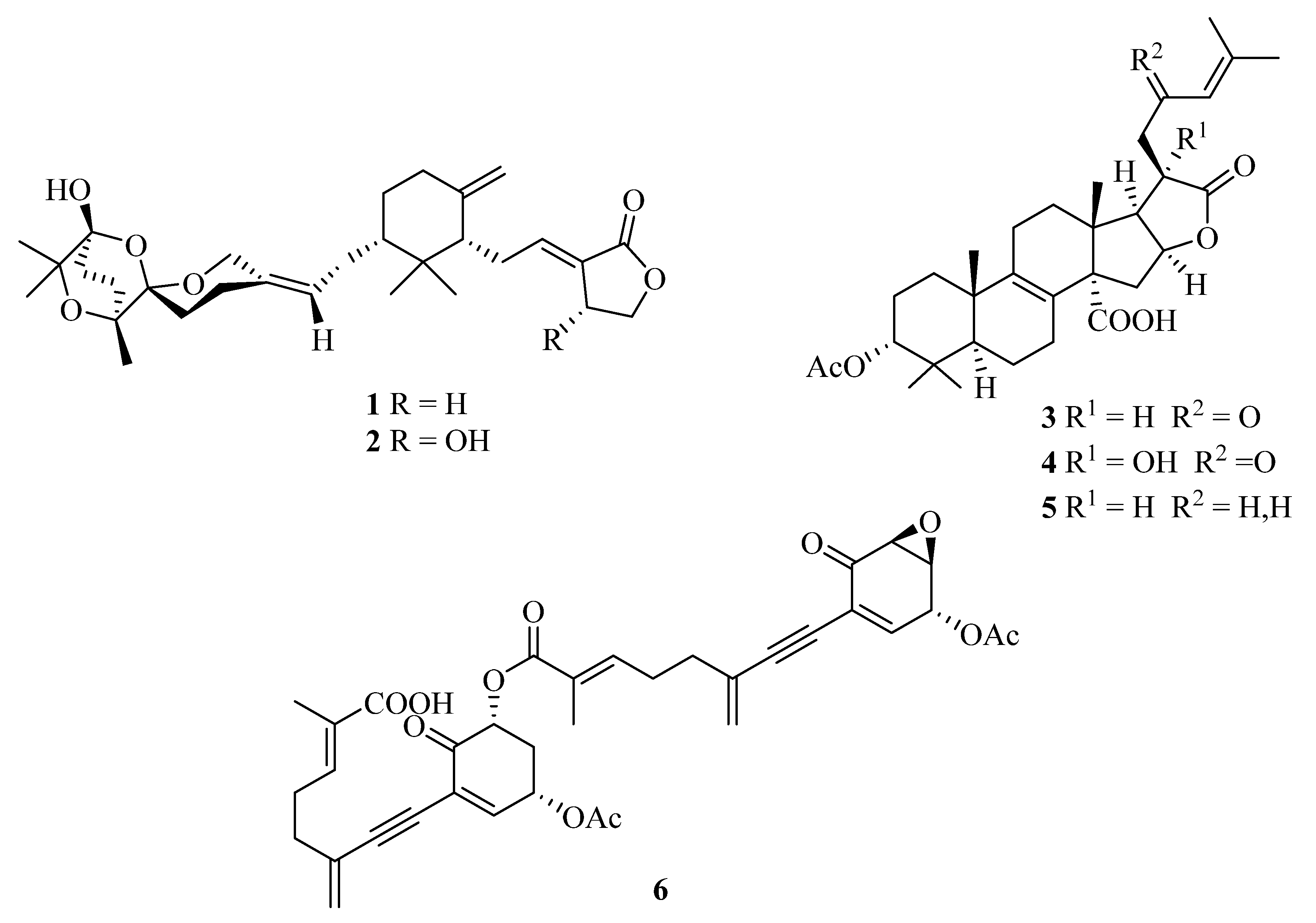 Molecules 28 07446 g002