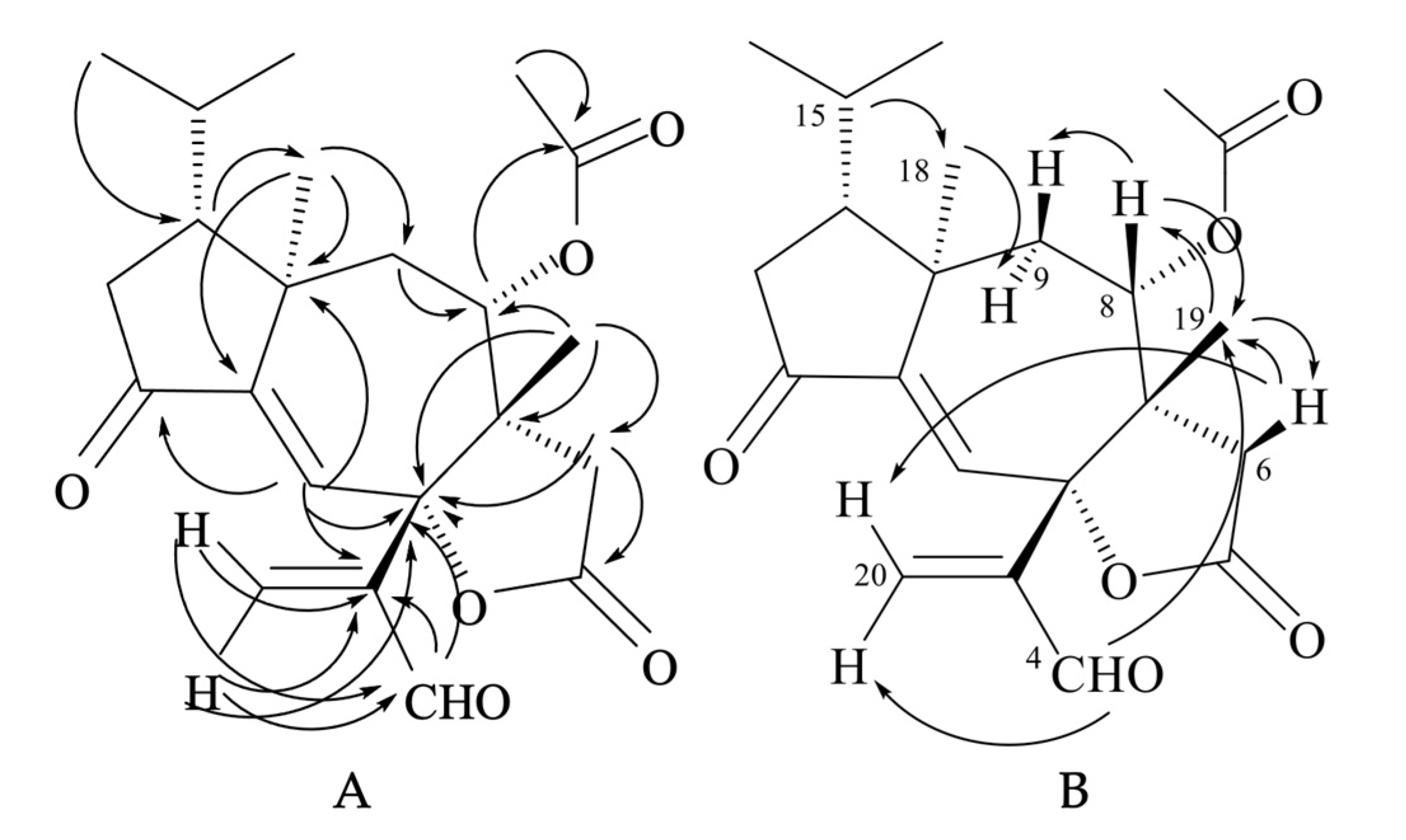 Molecules 28 07446 g008