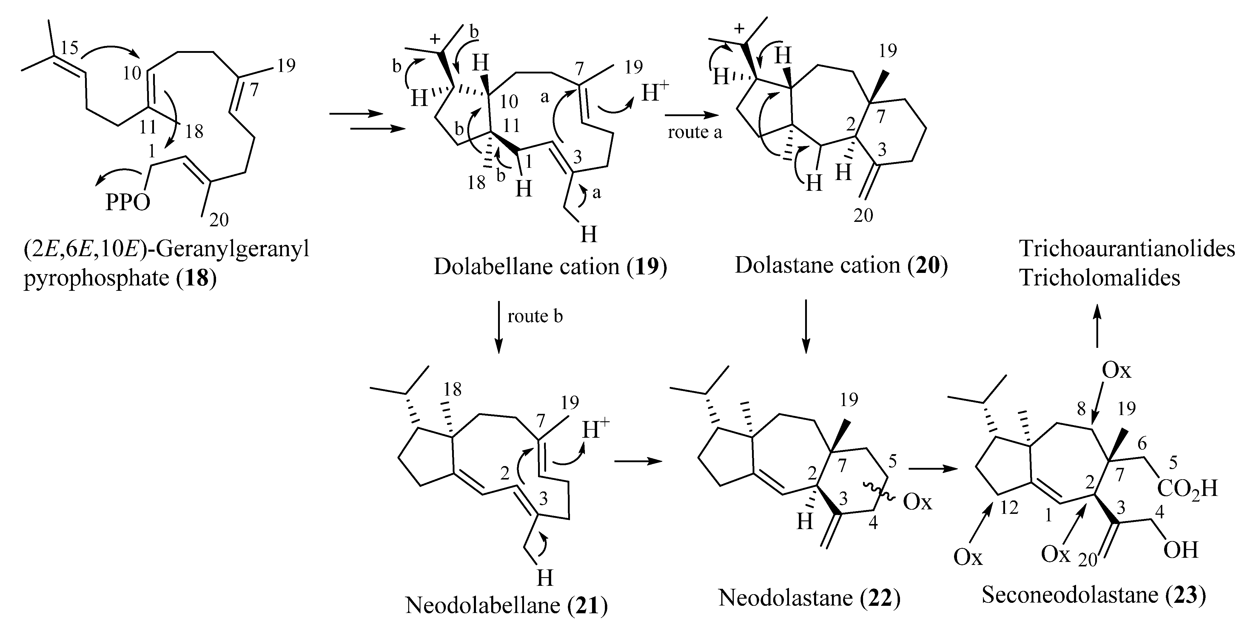 Molecules 28 07446 sch001