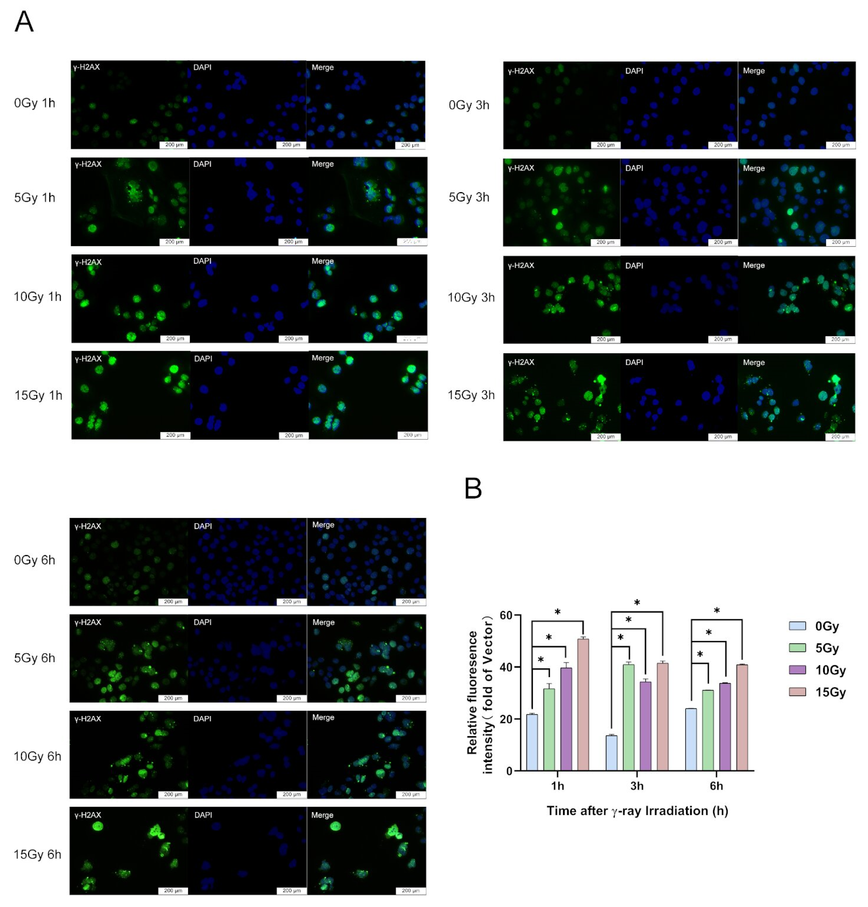 Molecules 28 07449 g002