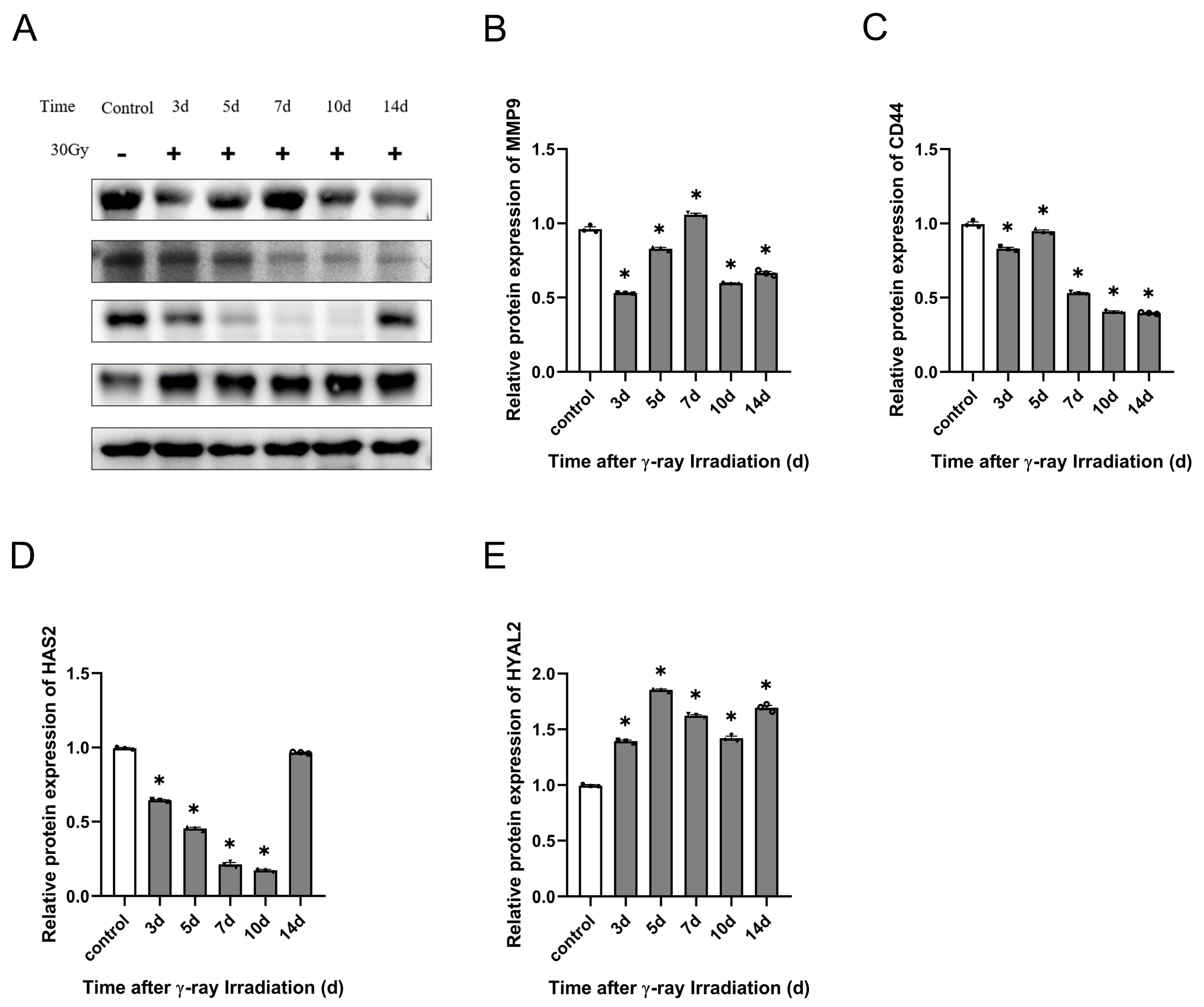 Molecules 28 07449 g014