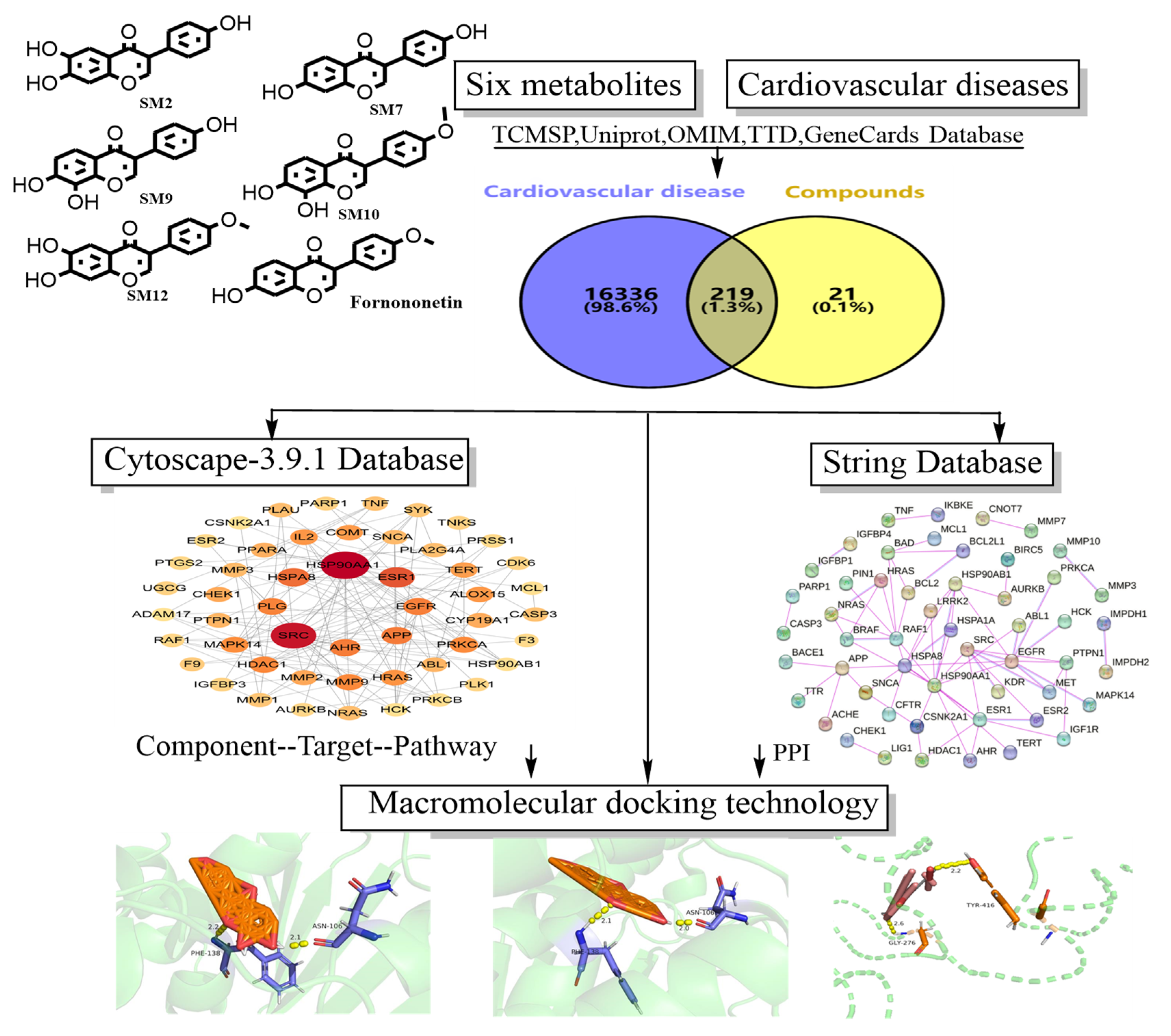 Molecules 28 07451 g007