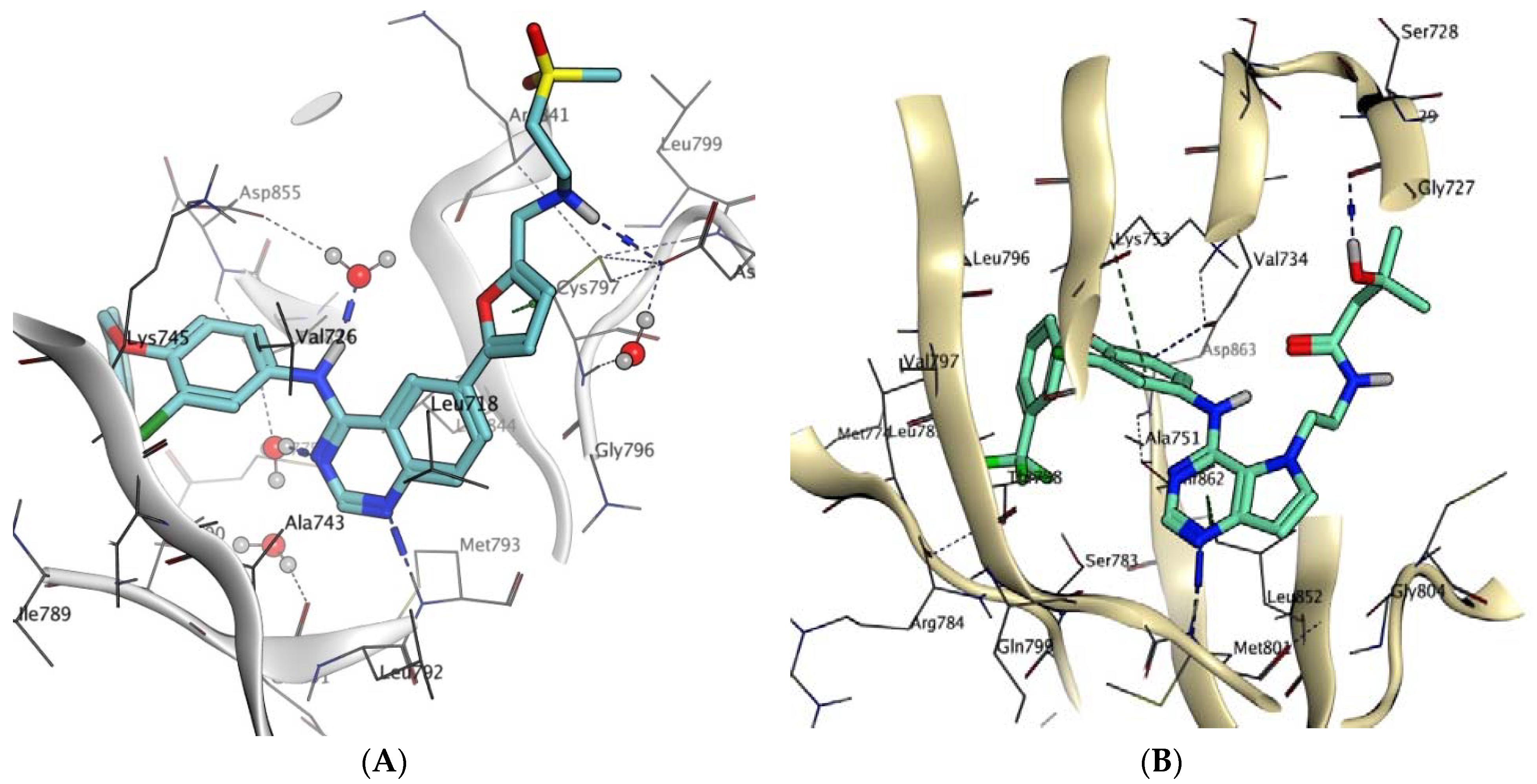 Molecules 28 07455 g005