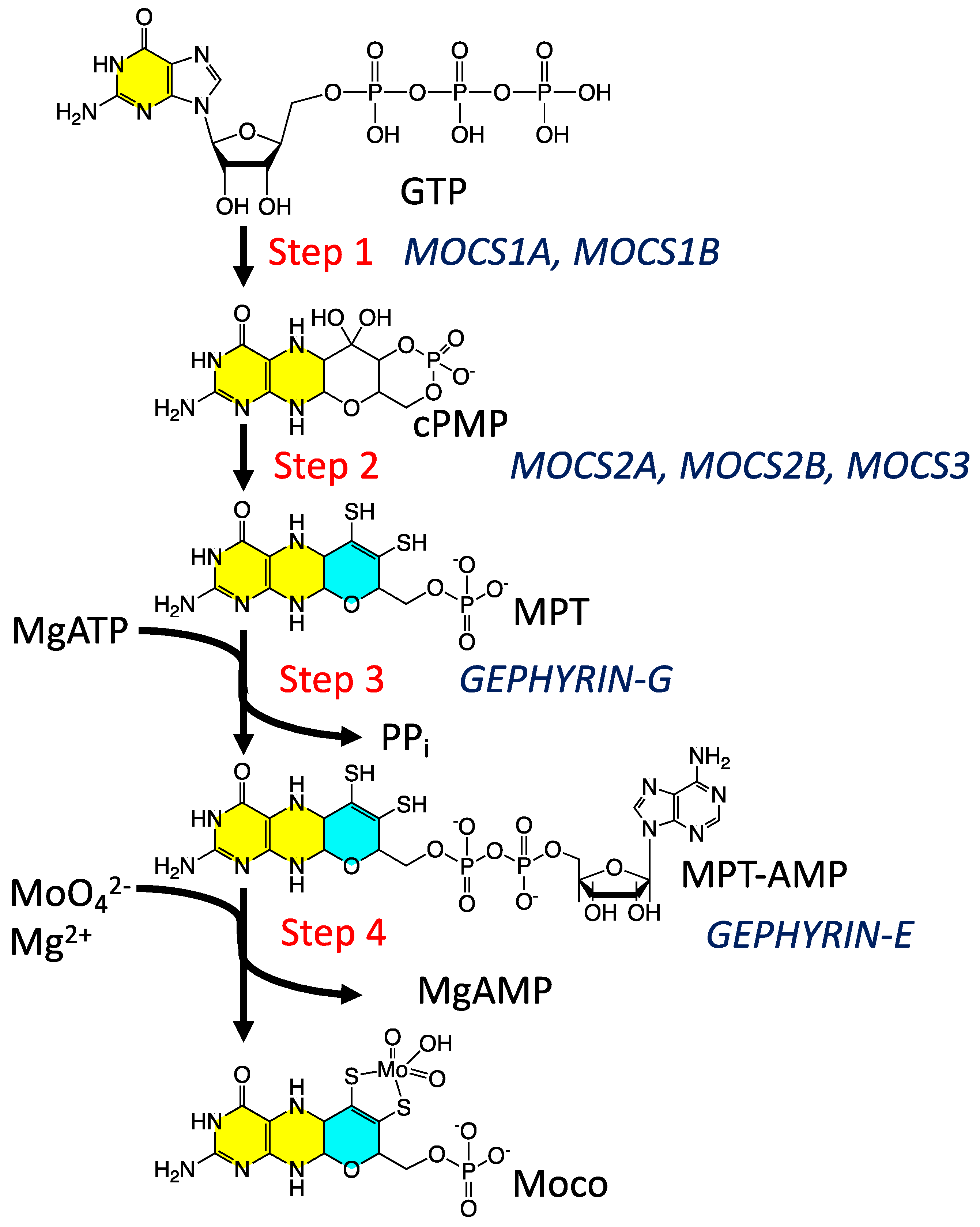 Molecules 28 07456 g001