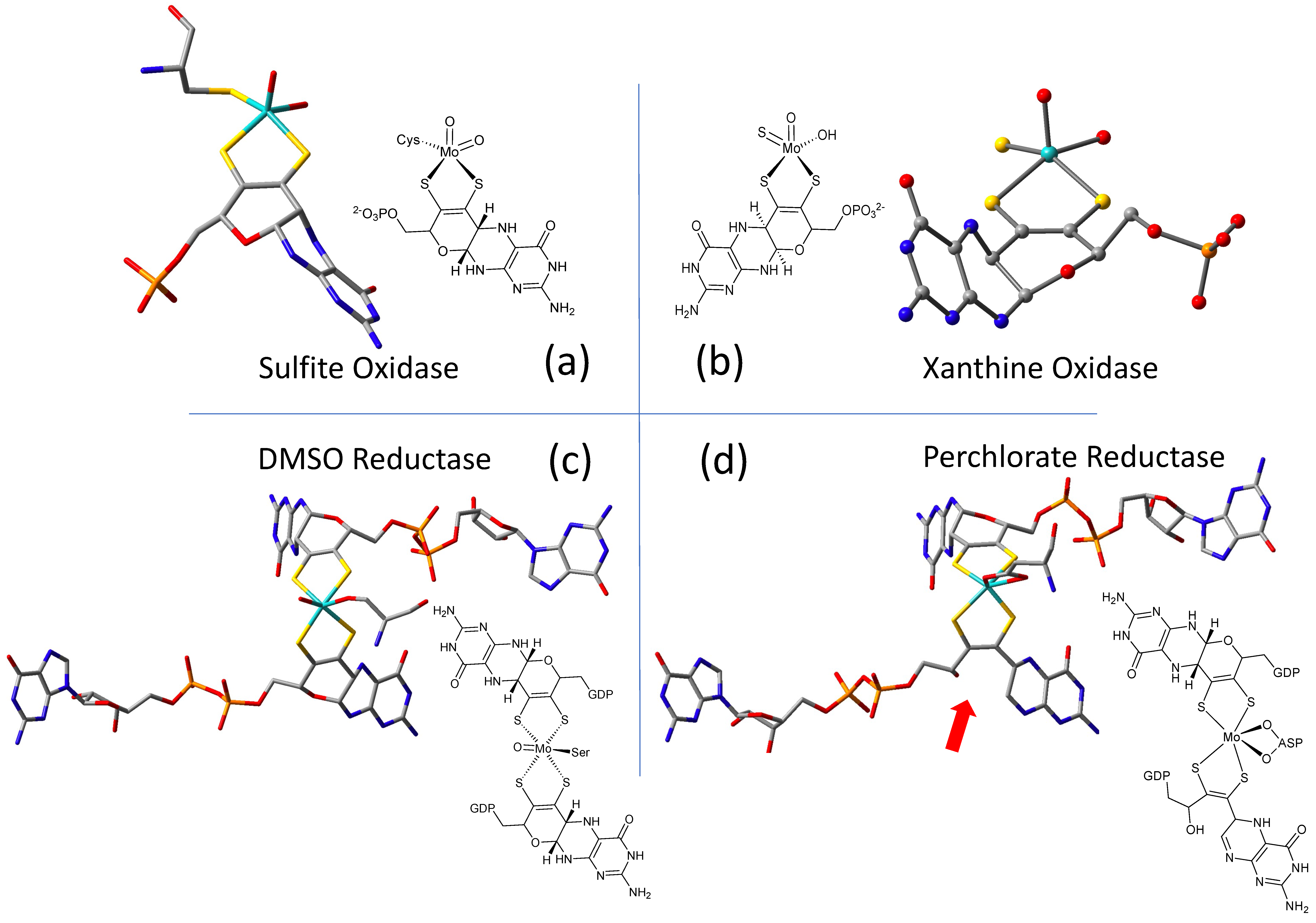Molecules 28 07456 g002