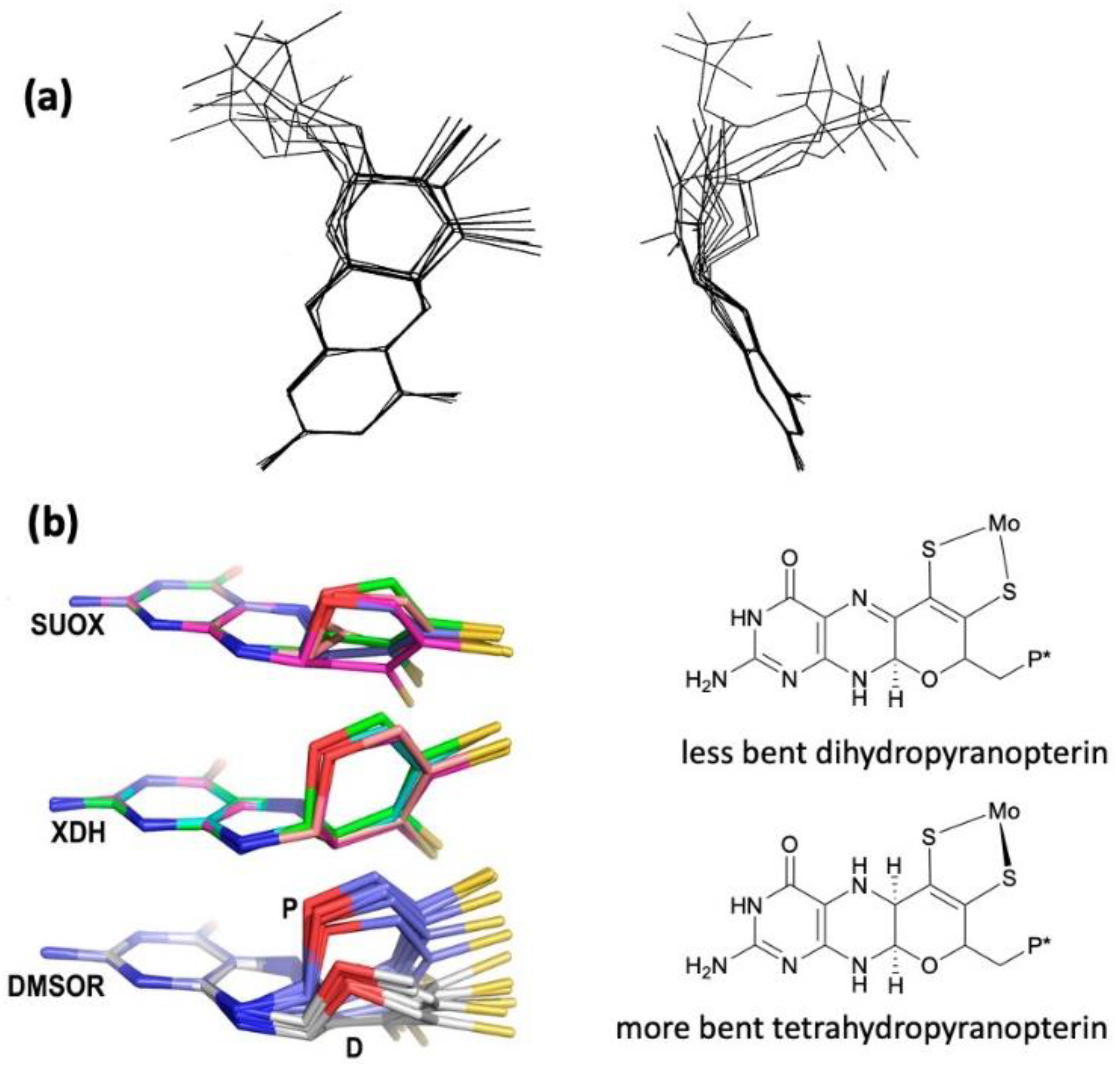 Molecules 28 07456 g003