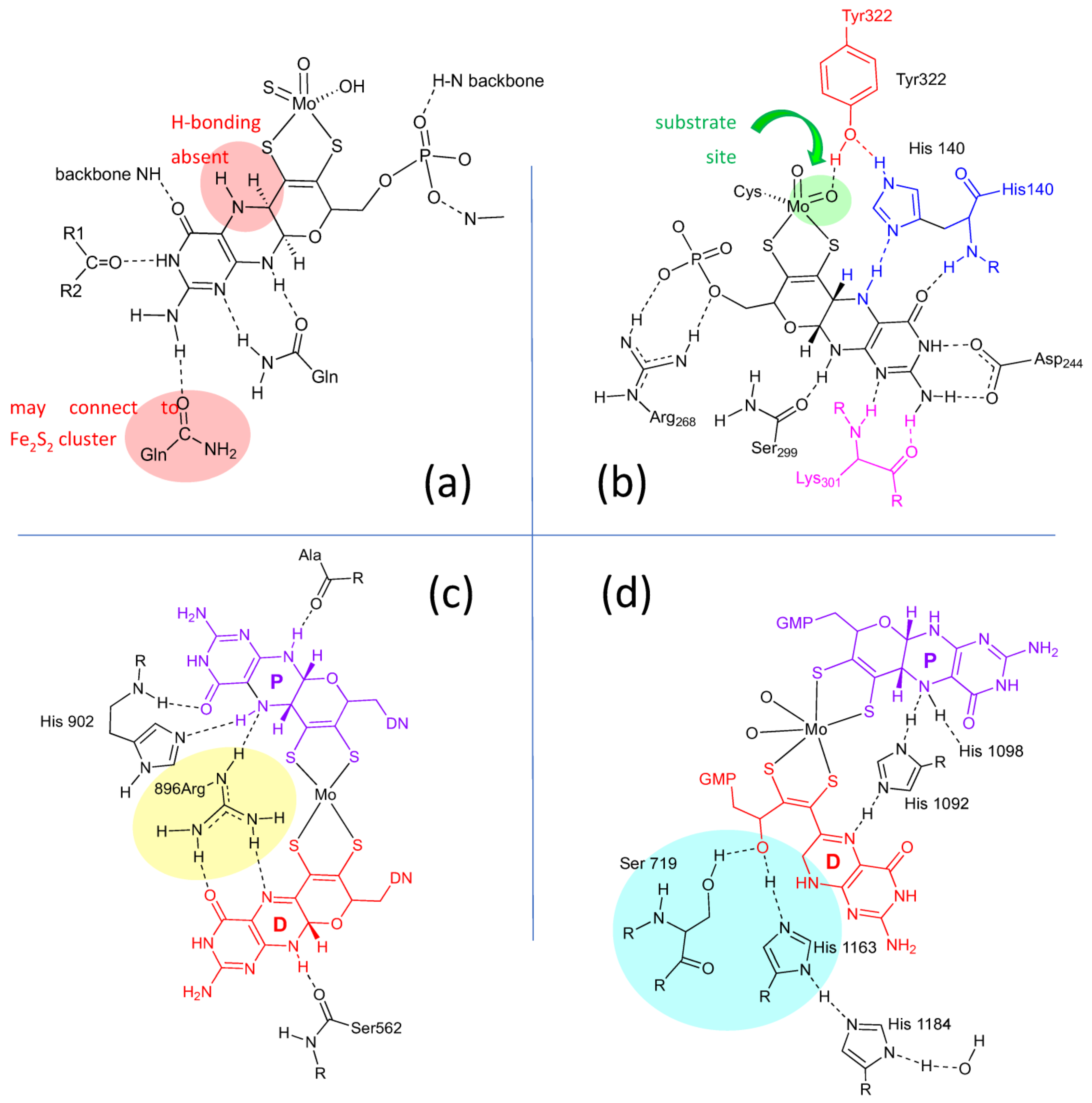Molecules 28 07456 g004