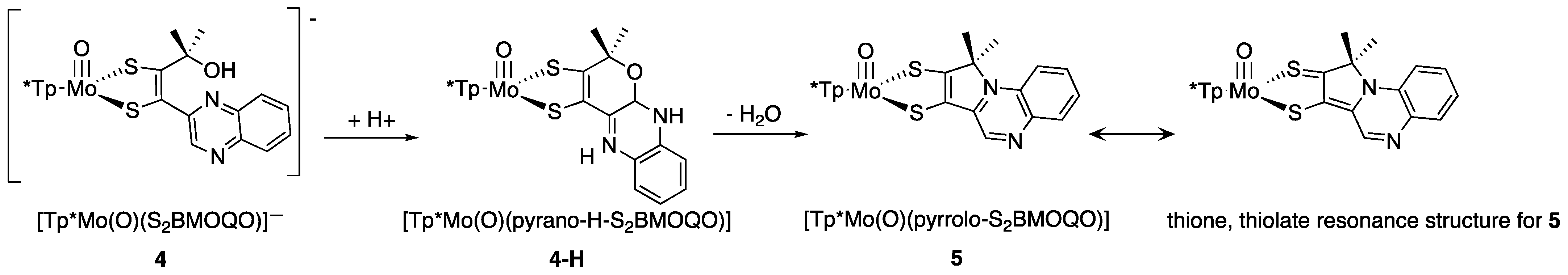 Molecules 28 07456 g021