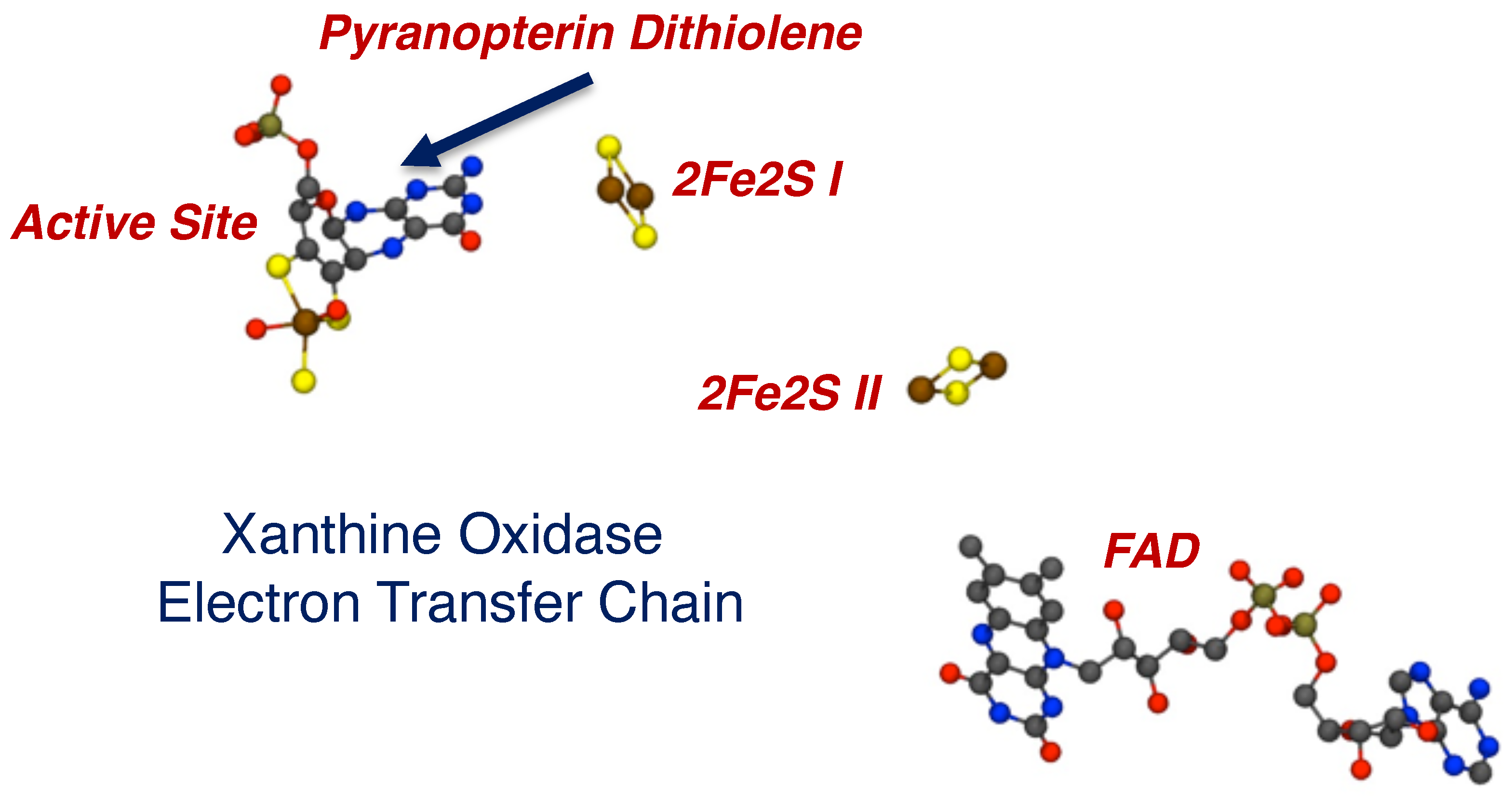 Molecules 28 07456 g023