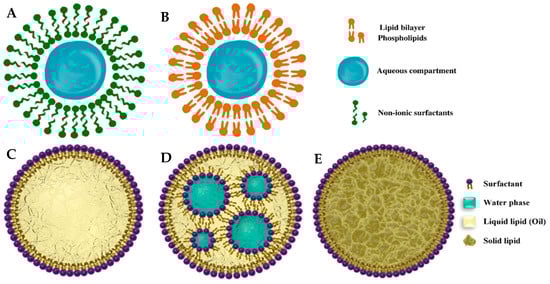 Molecules 28 07469 g007