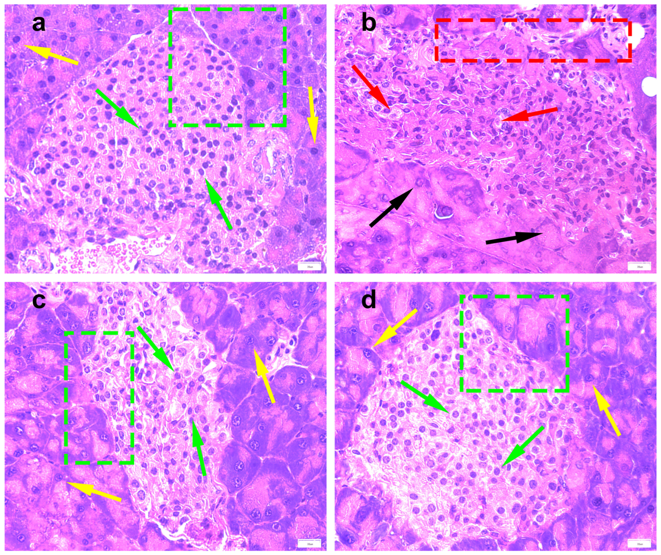 Molecules 28 07471 g003 Molecules 28 07471 g003