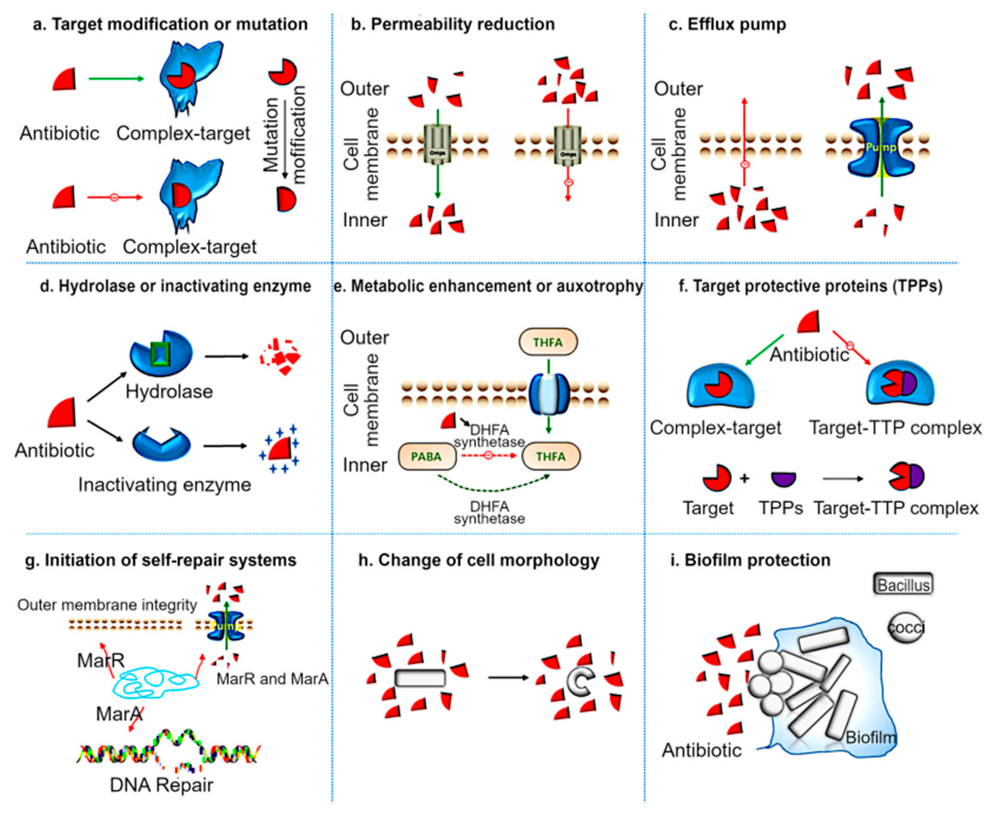 Molecules 28 07481 g001