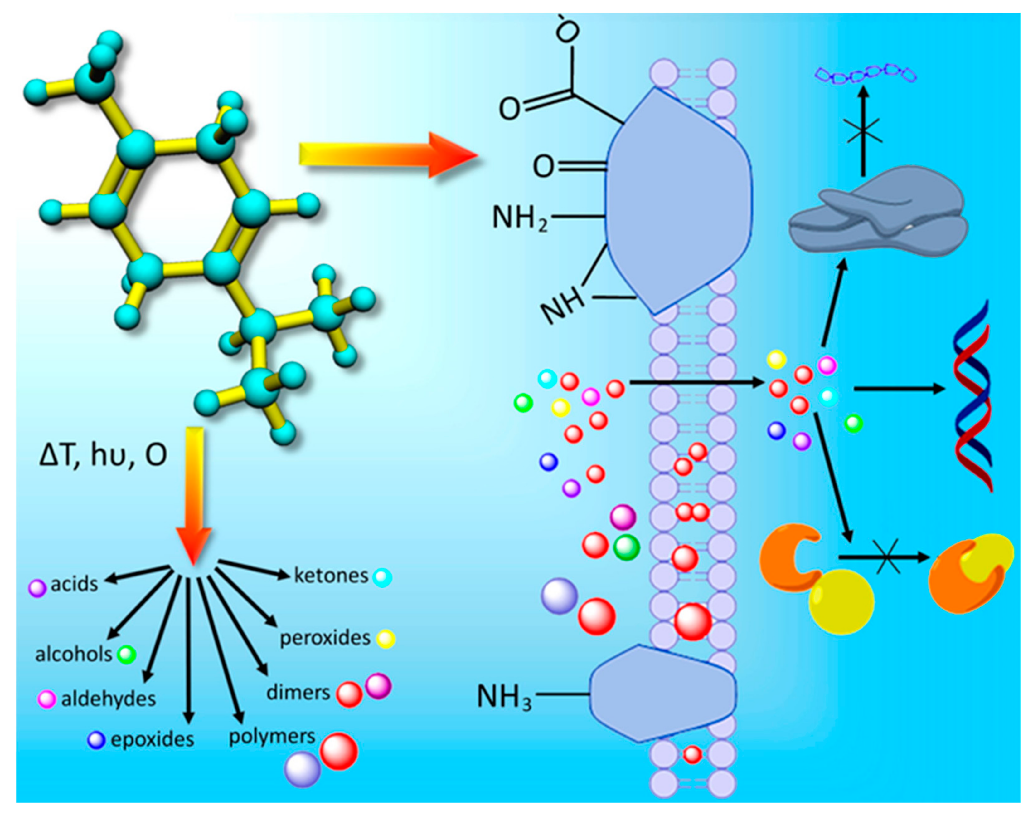 Molecules 28 07481 g003
