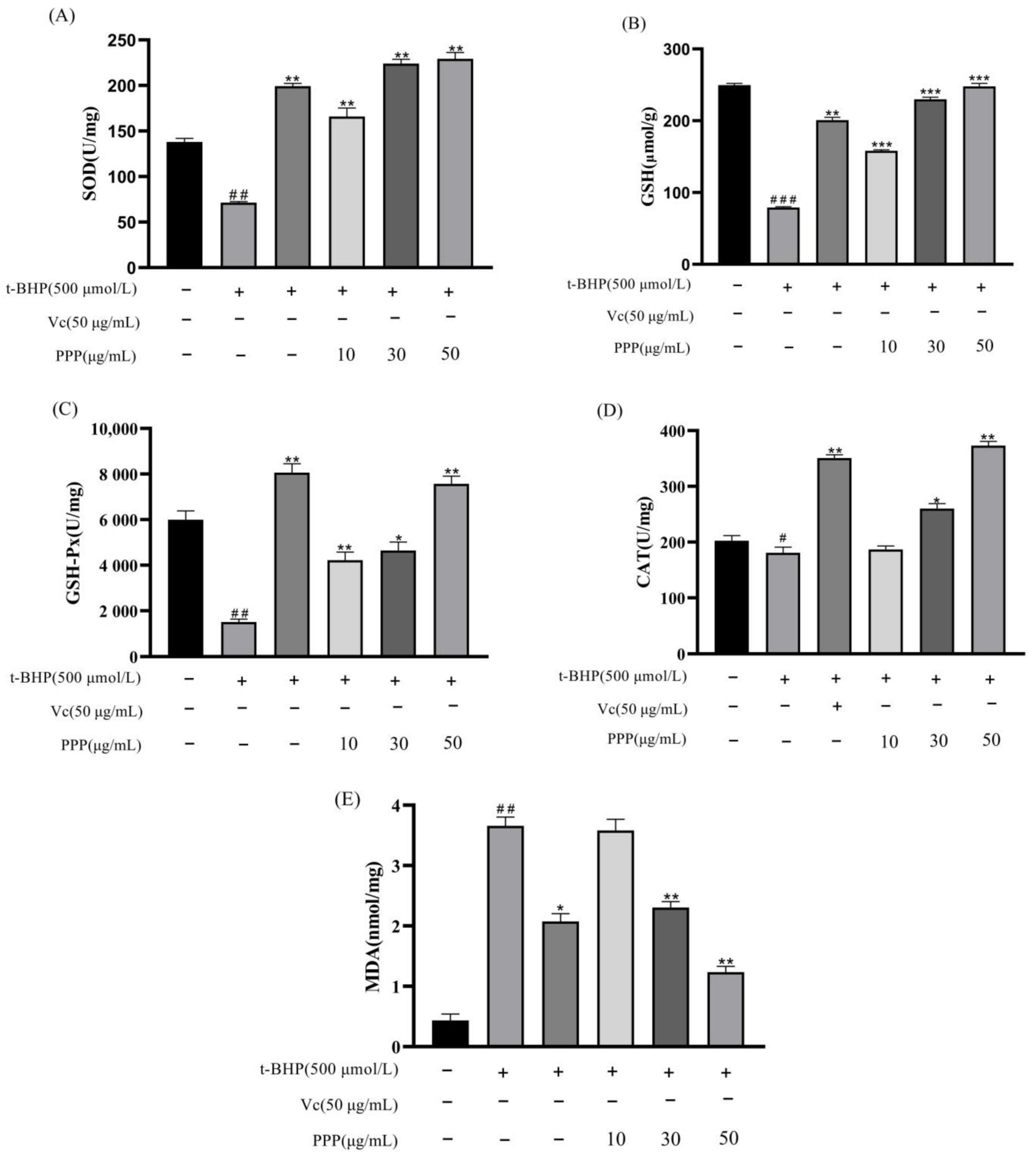 Molecules 28 07487 g007