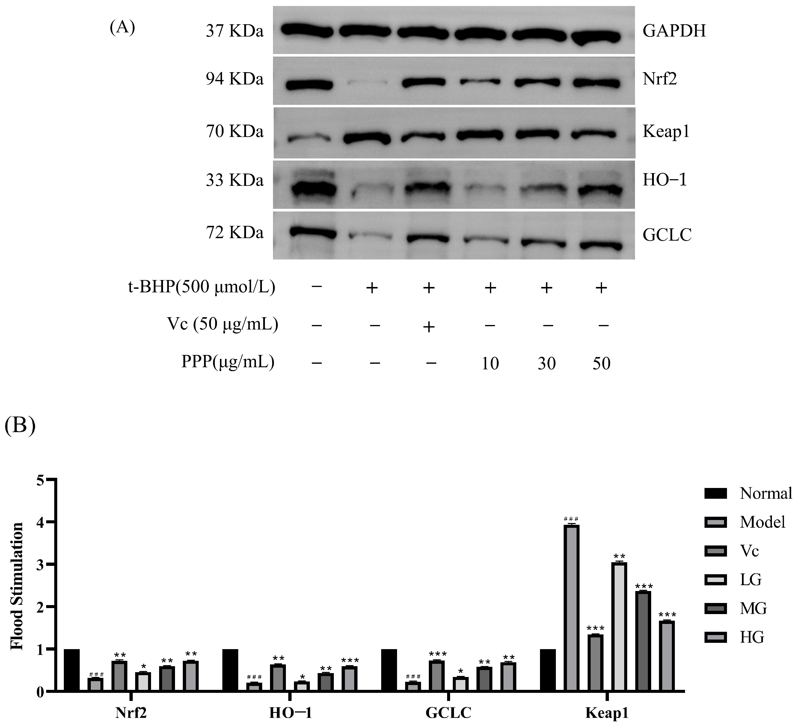 Molecules 28 07487 g009