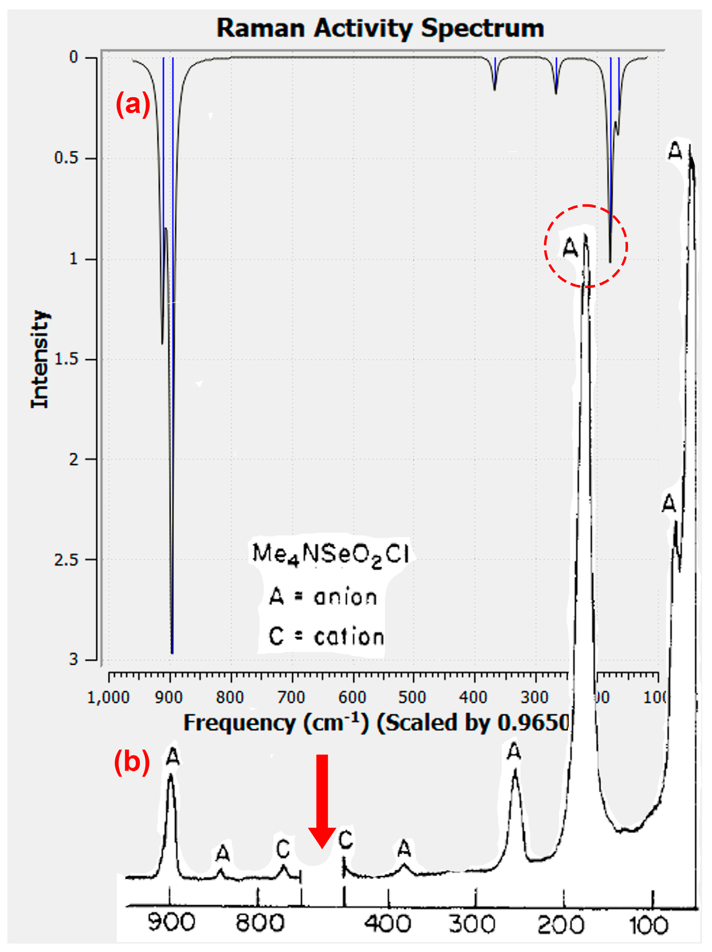 Molecules 28 07489 g005 Molecules 28 07489 g005