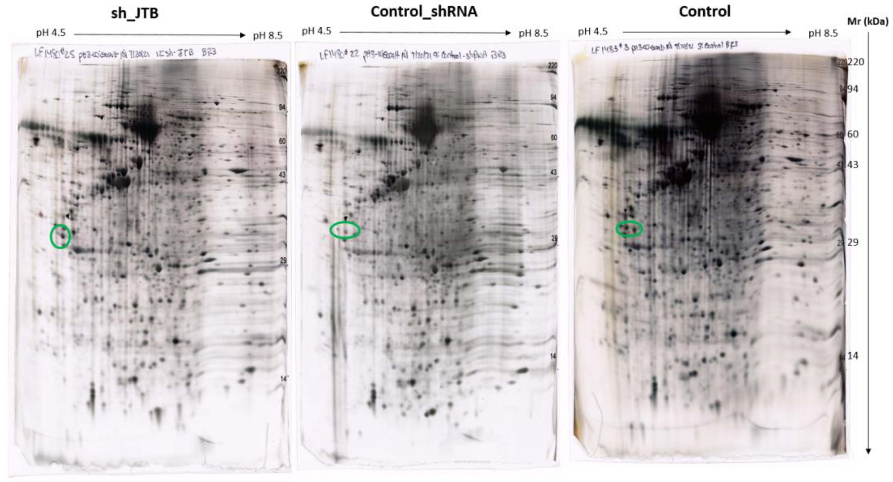 Molecules 28 07501 g003