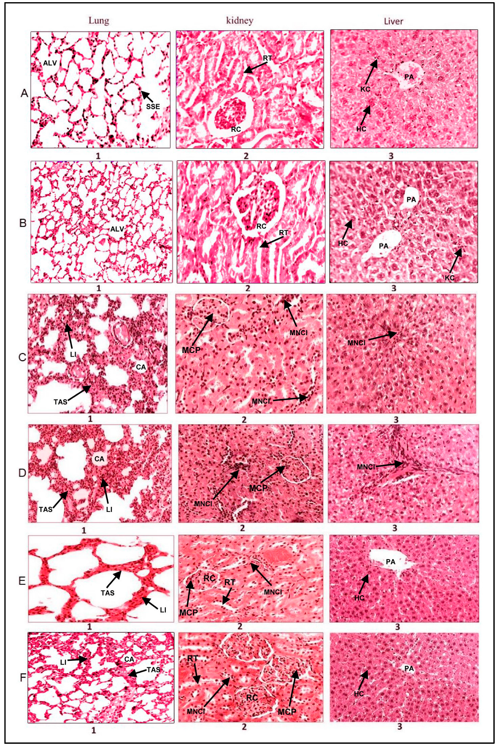 Molecules 28 07502 g005 Molecules 28 07502 g005
