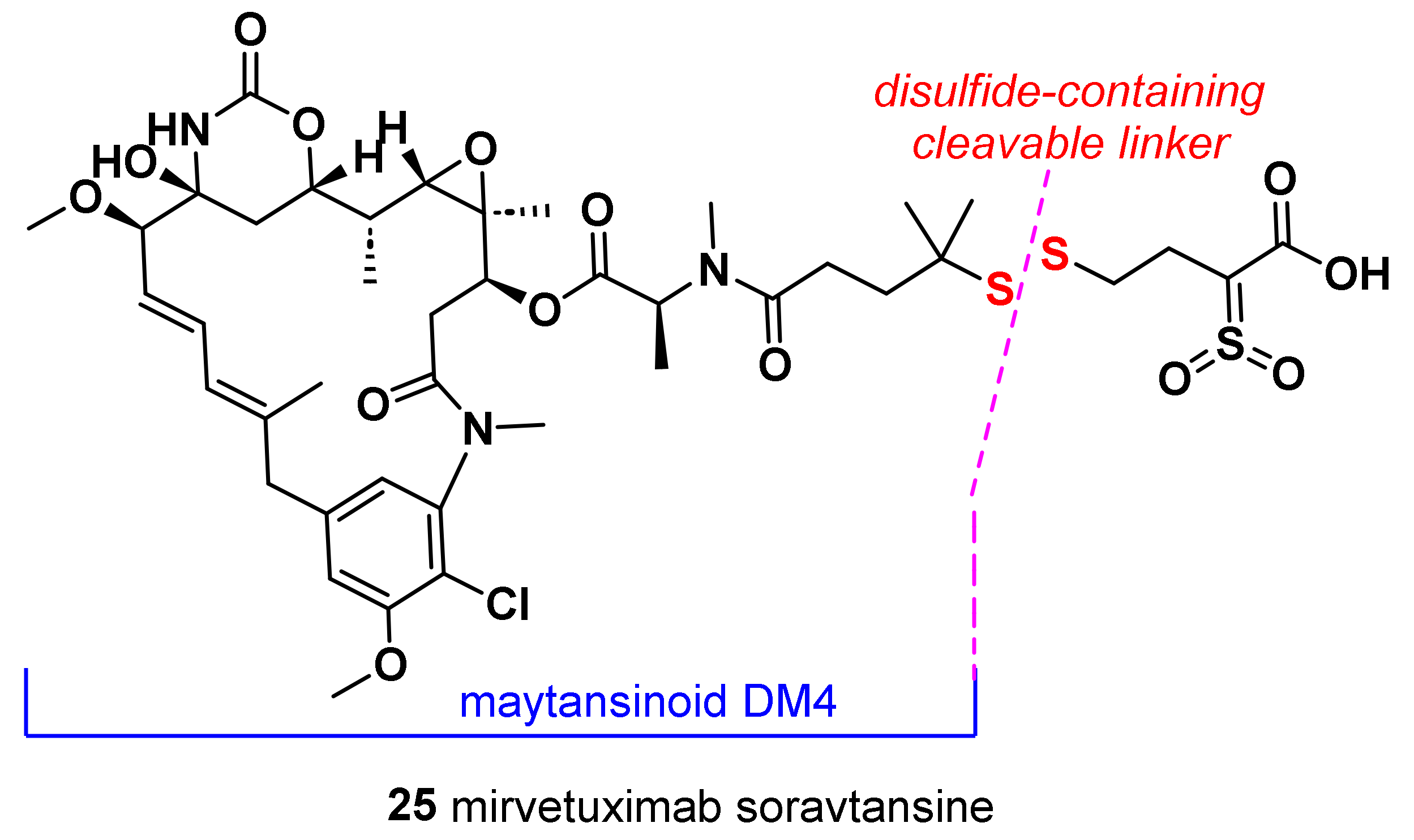 Molecules 28 07513 g008