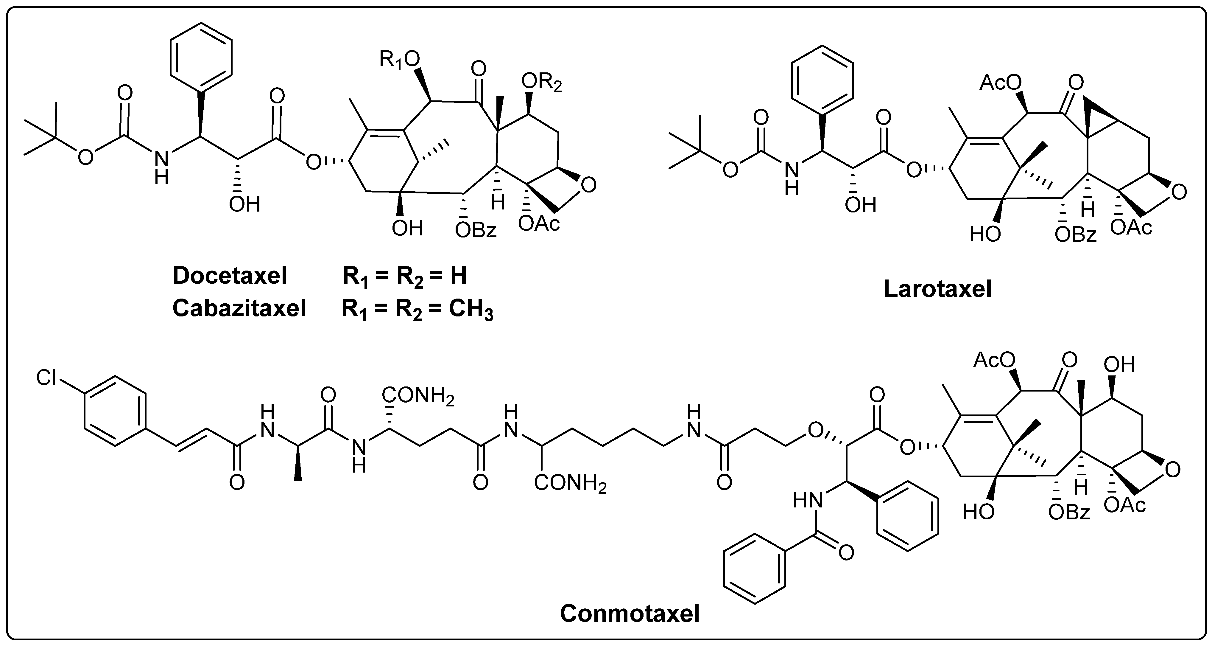 Molecules 28 07517 g003