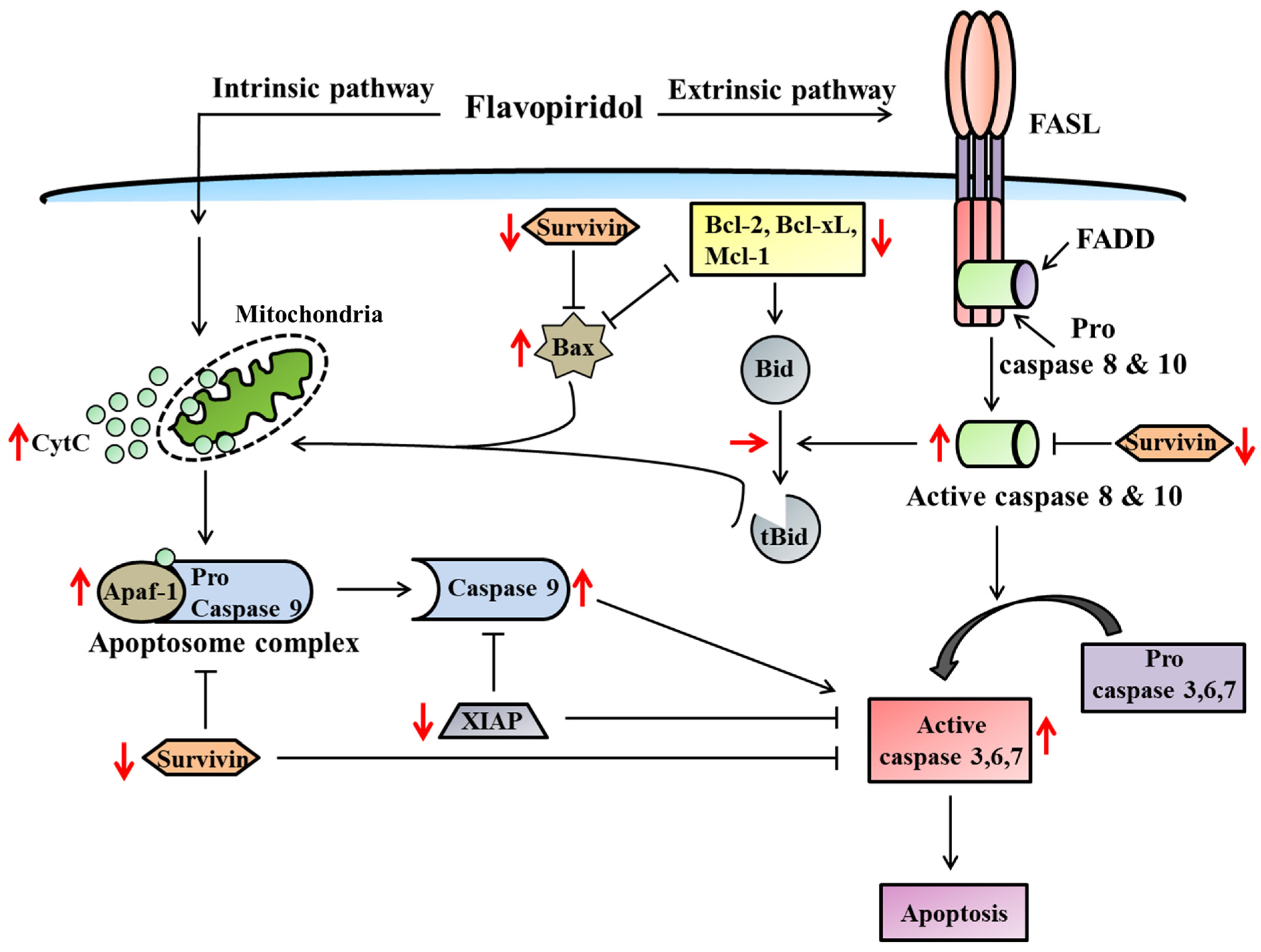 Molecules 28 07530 g003