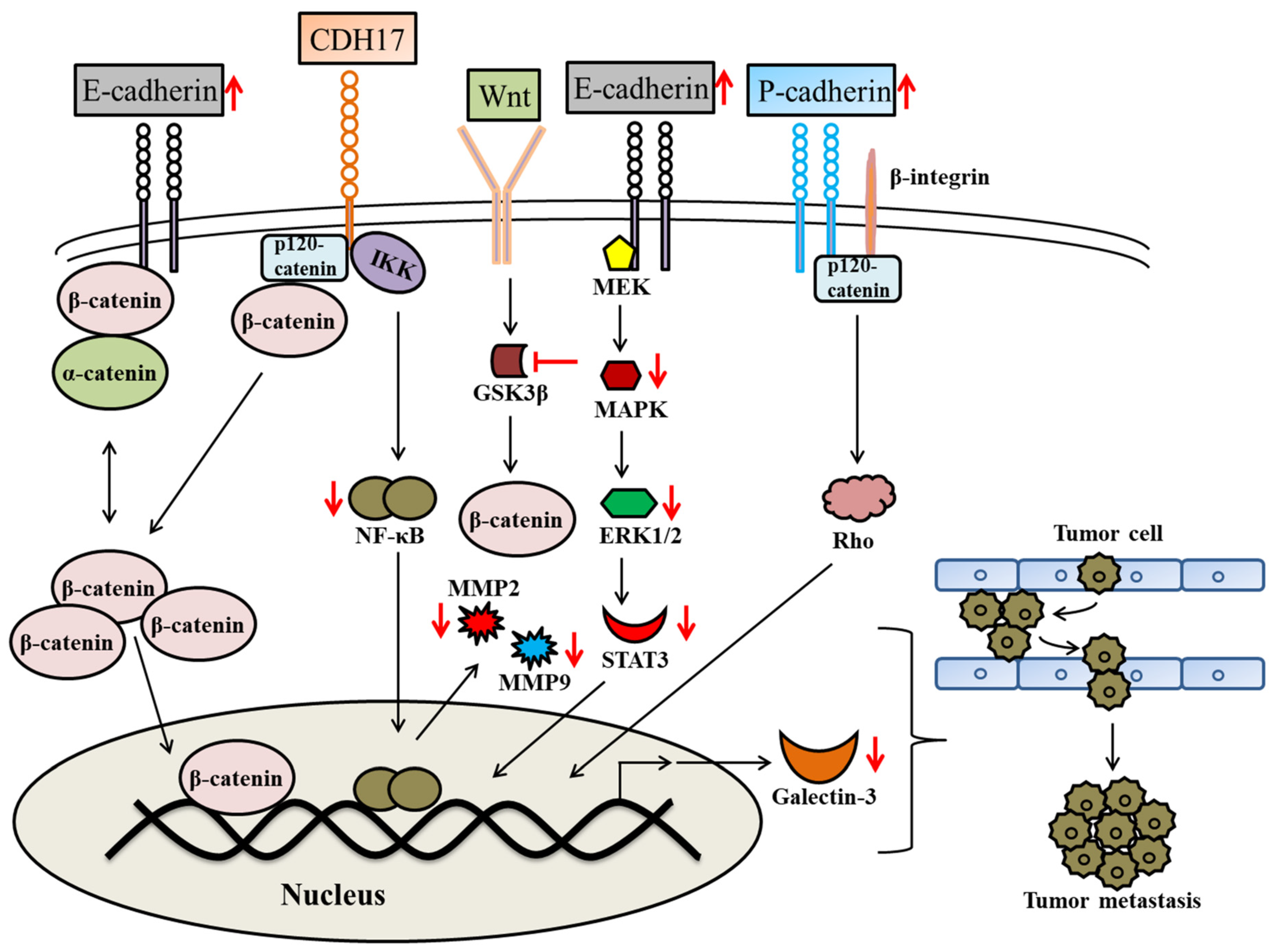 Molecules 28 07530 g004