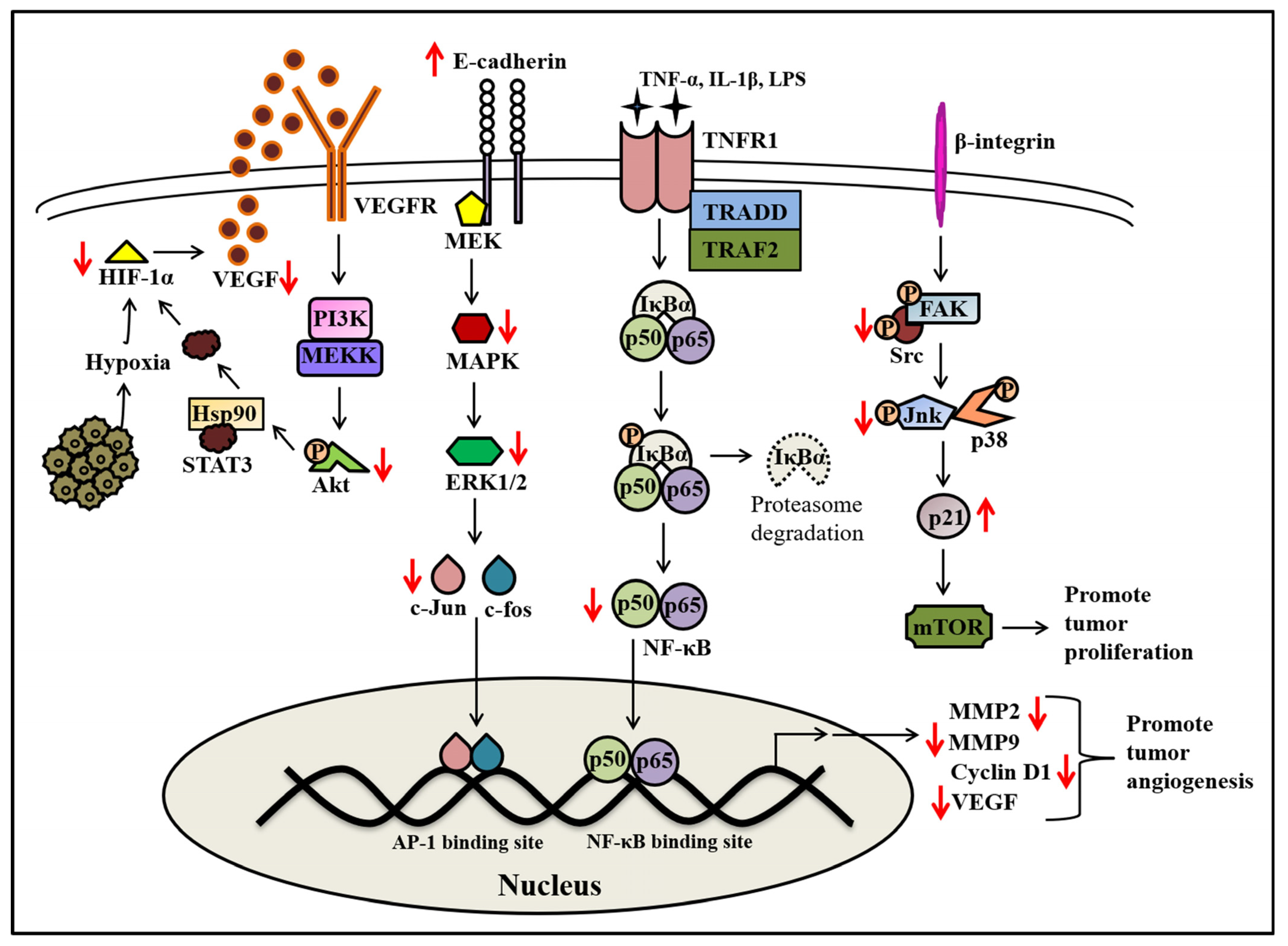 Molecules 28 07530 g005