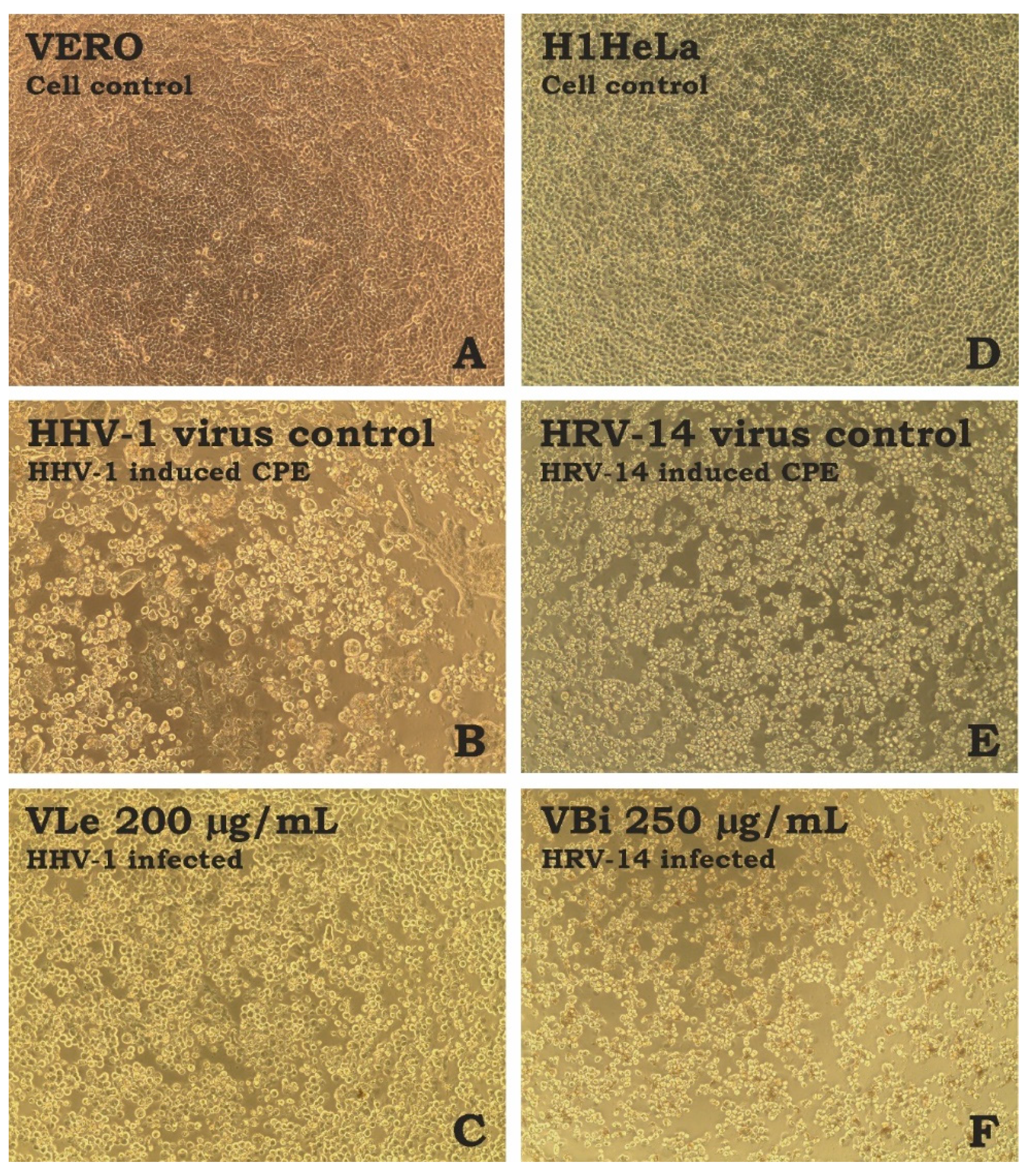 Molecules 28 07531 g001