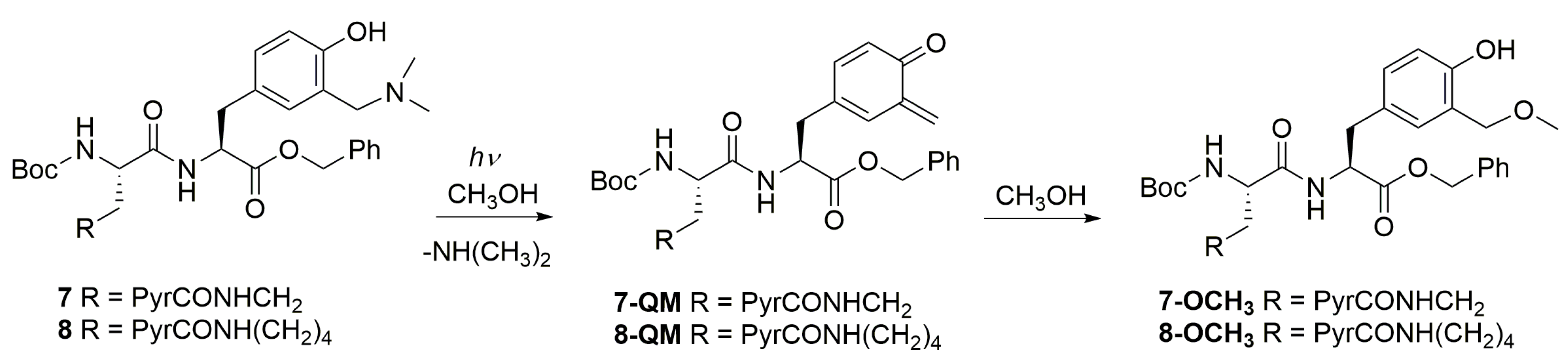 Molecules 28 07533 sch002