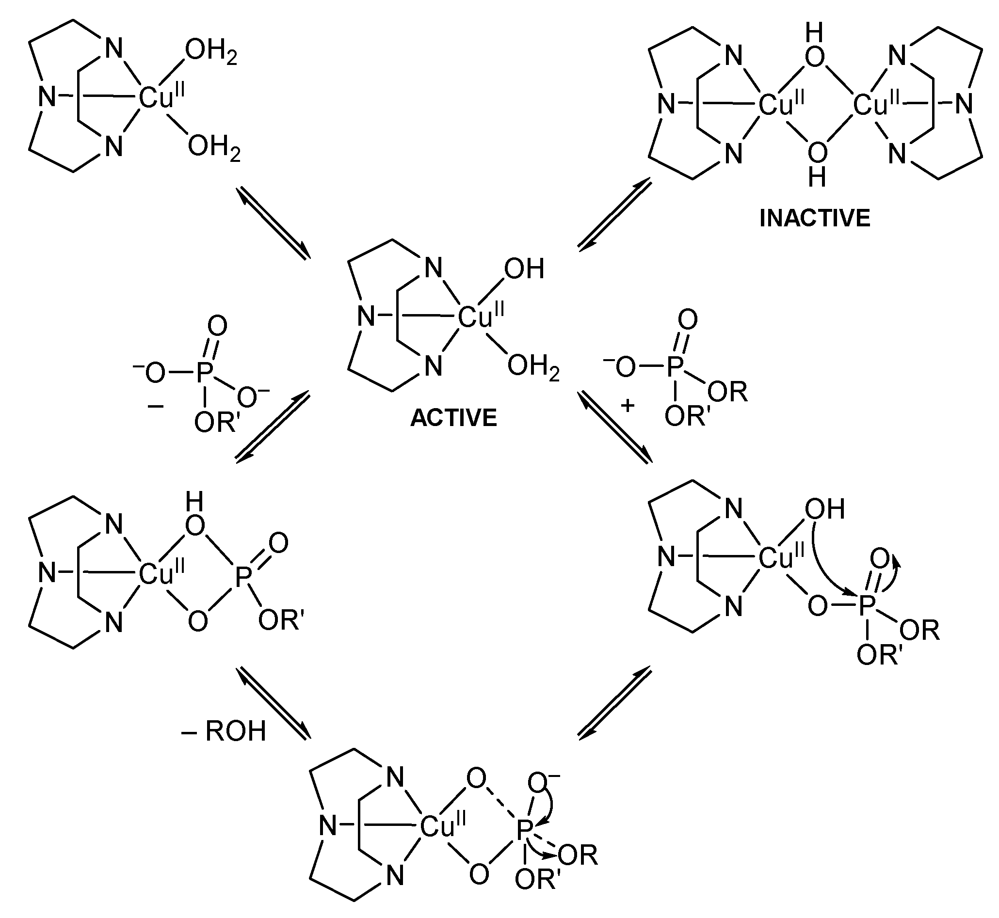 Molecules 28 07542 sch001 Molecules 28 07542 sch001
