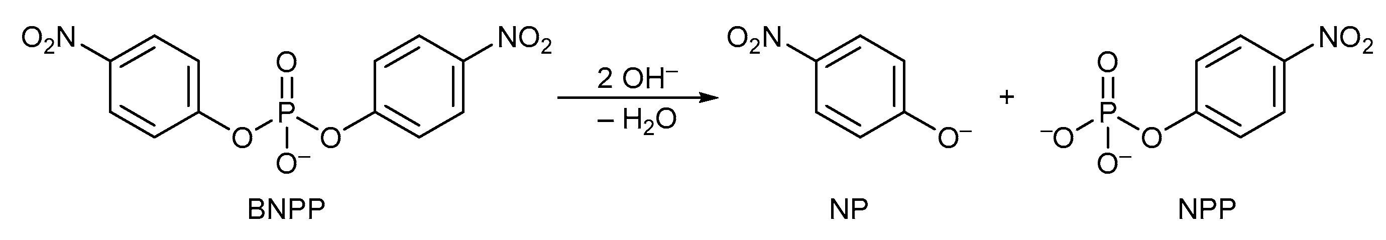 Molecules 28 07542 sch002 Molecules 28 07542 sch002