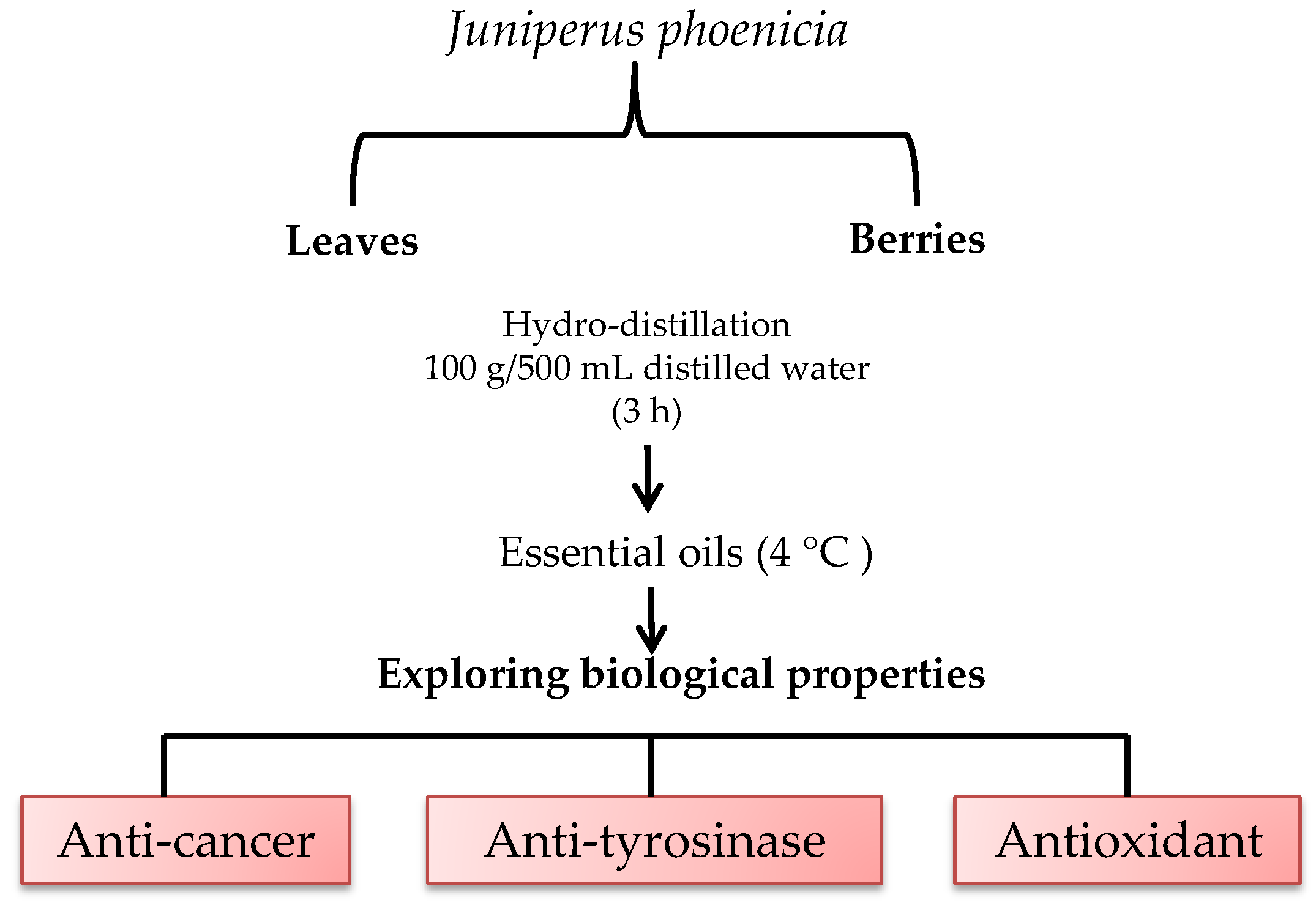 Molecules 28 07547 g004