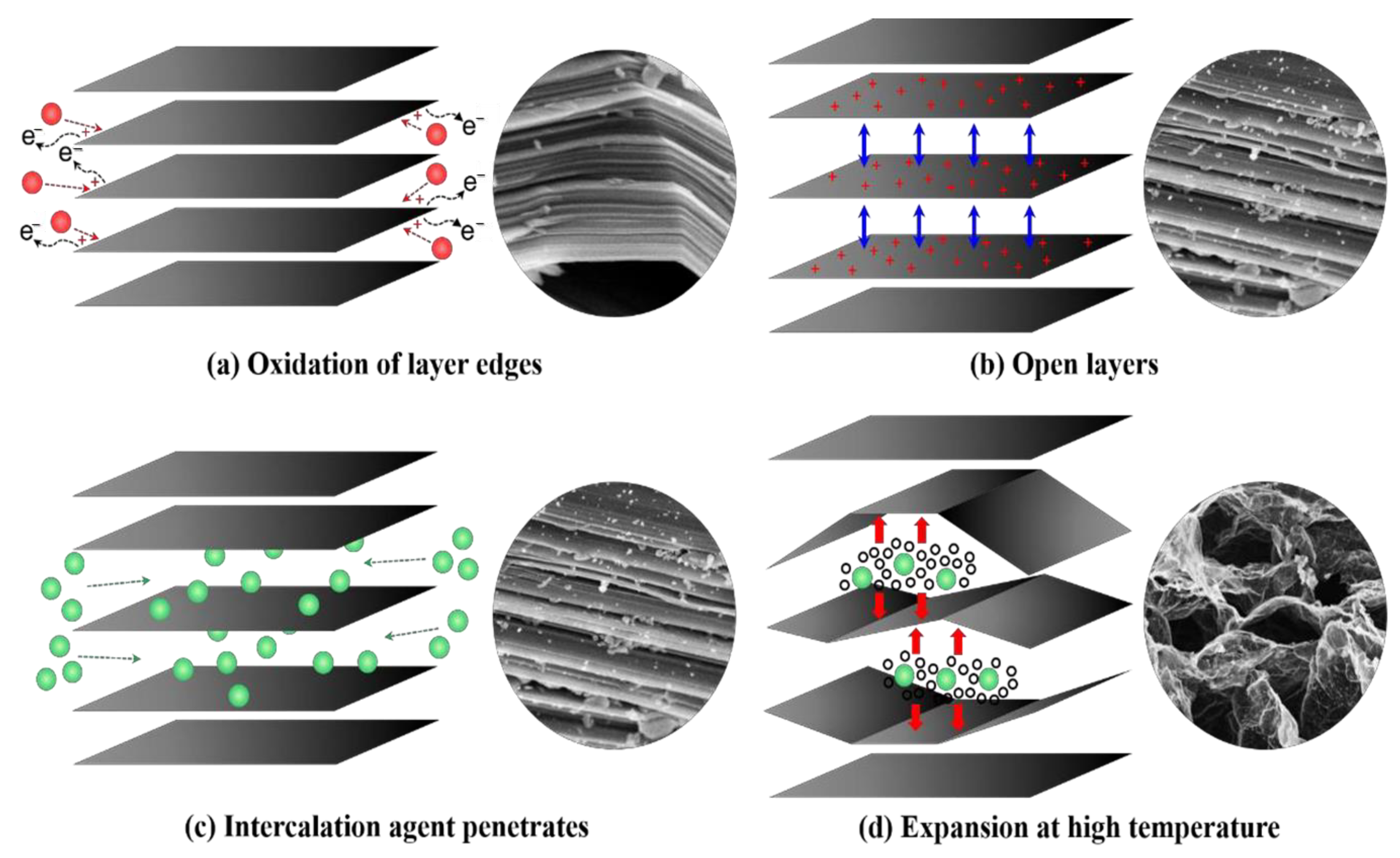 Molecules 28 07549 g006