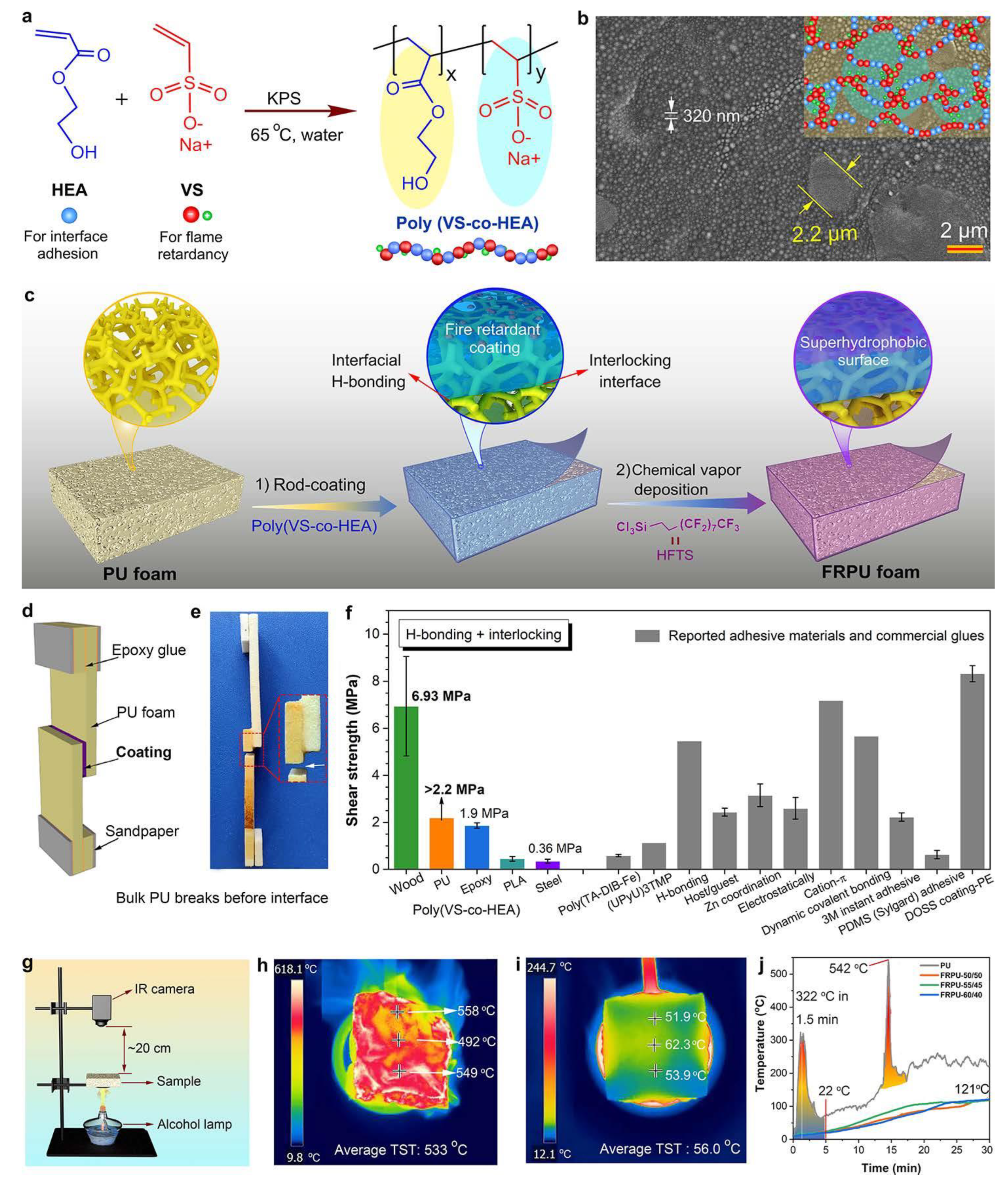 Molecules 28 07549 g009