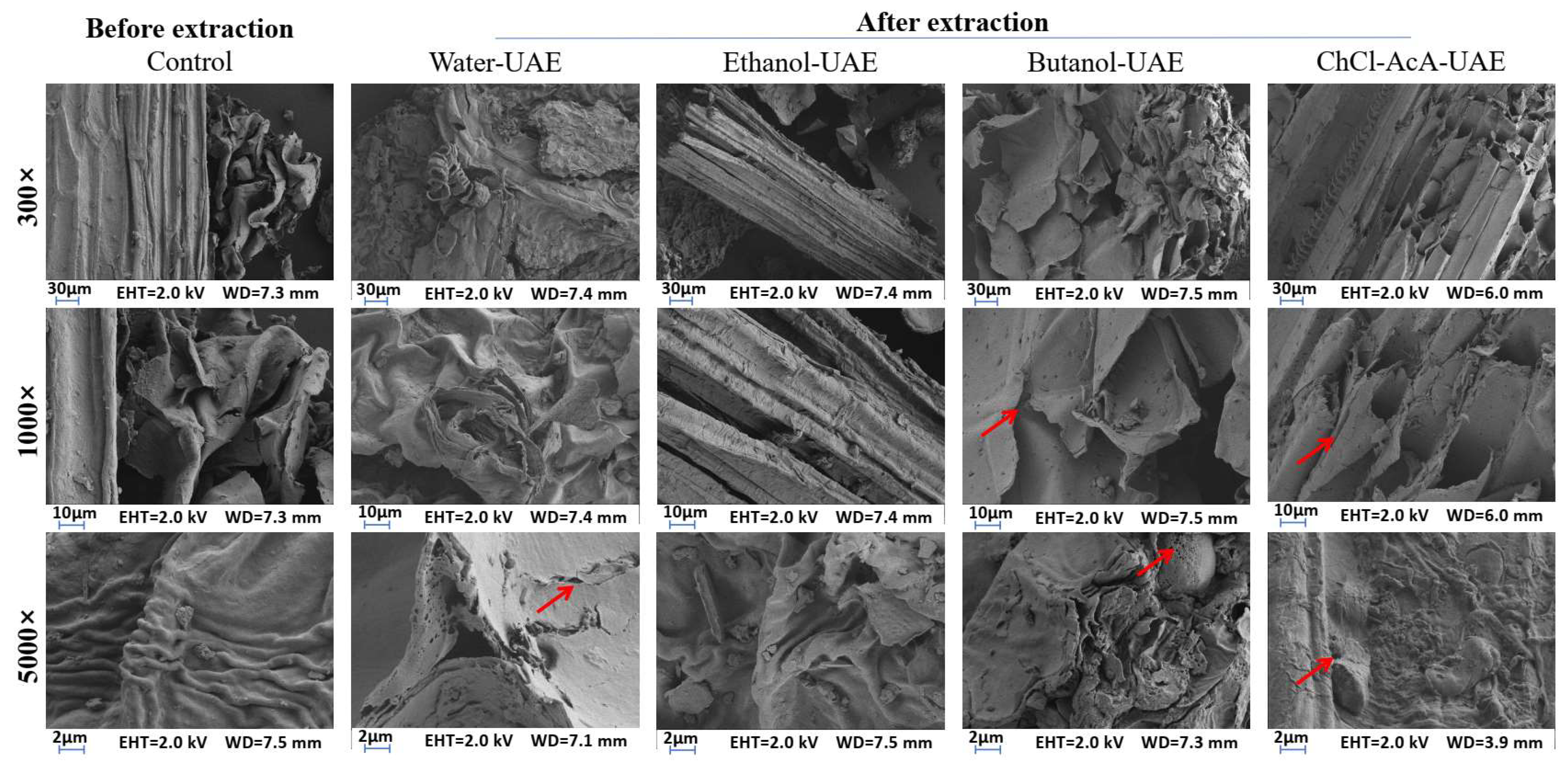 Molecules 28 07554 g007