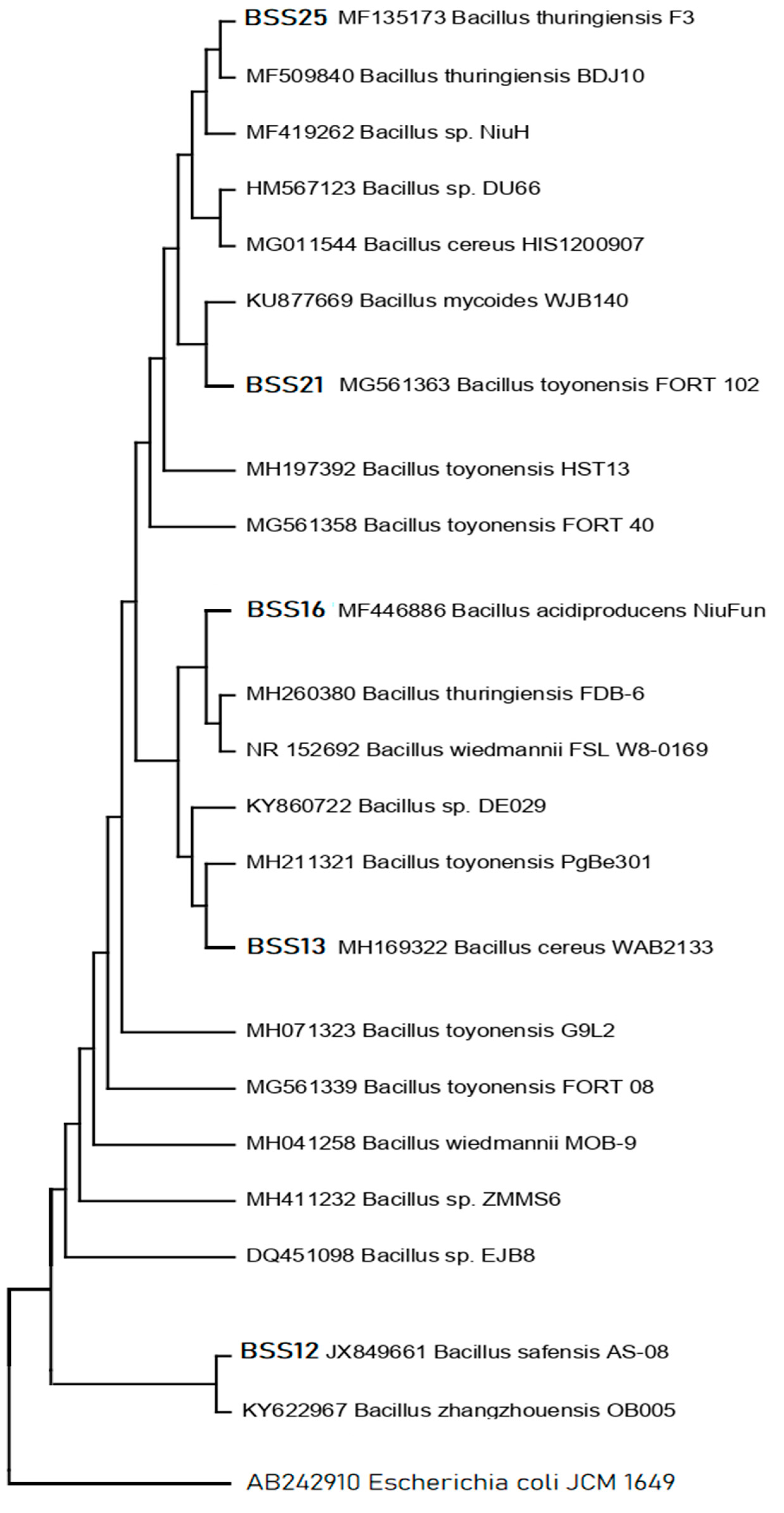 Molecules 28 07556 g003