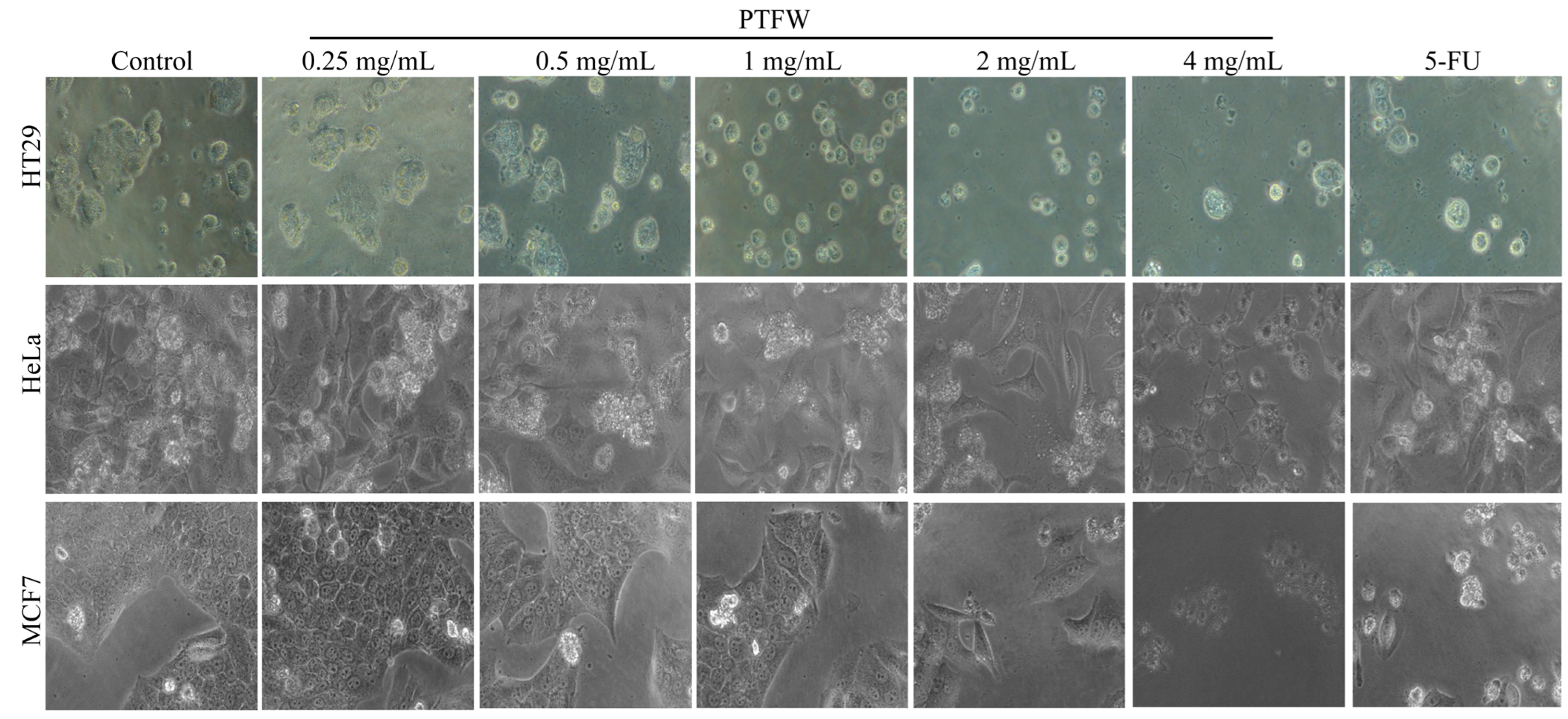Molecules 28 07557 g003