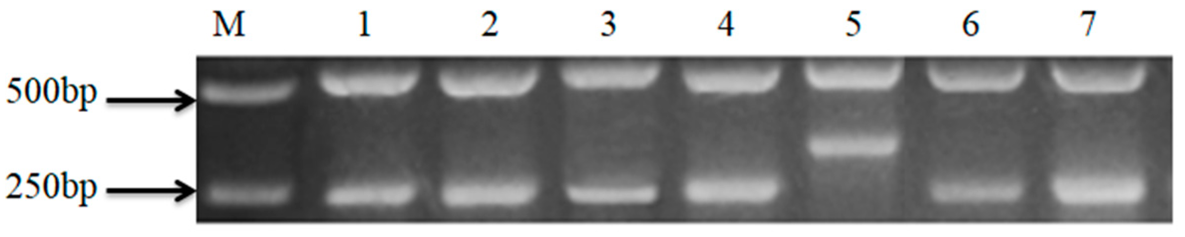 Molecules 28 07566 g008