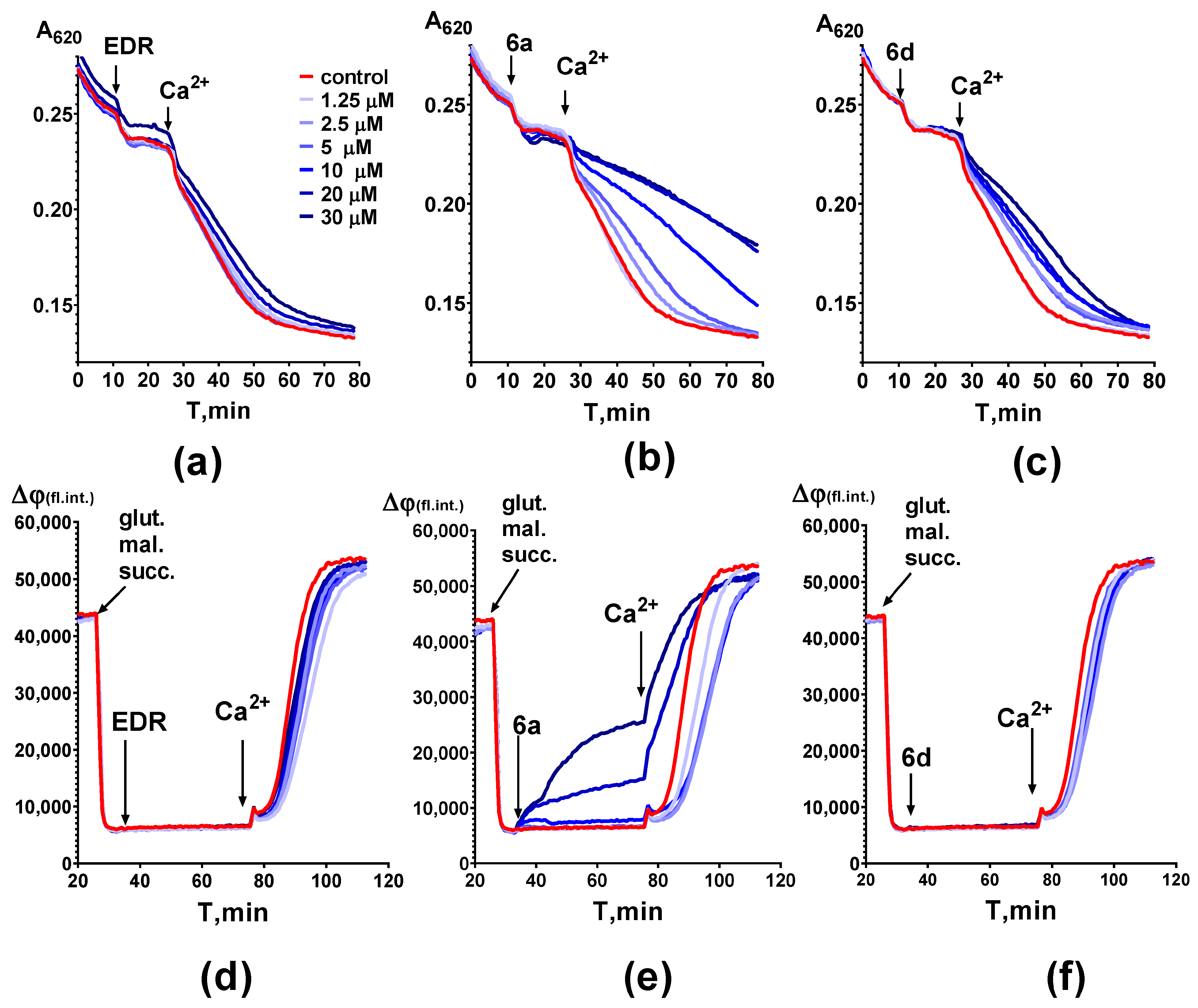 Molecules 28 07567 g004
