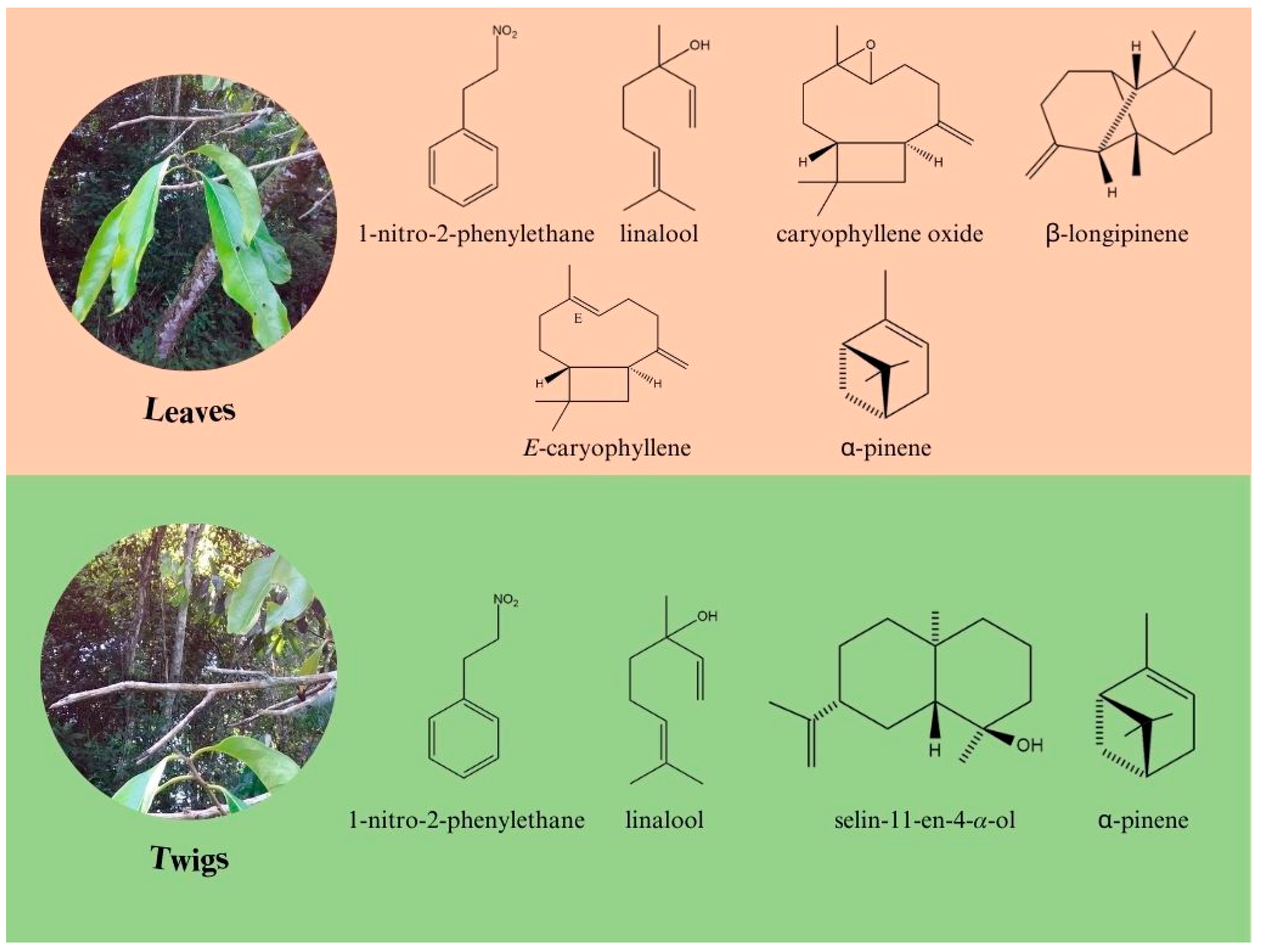 Molecules 28 07573 g002