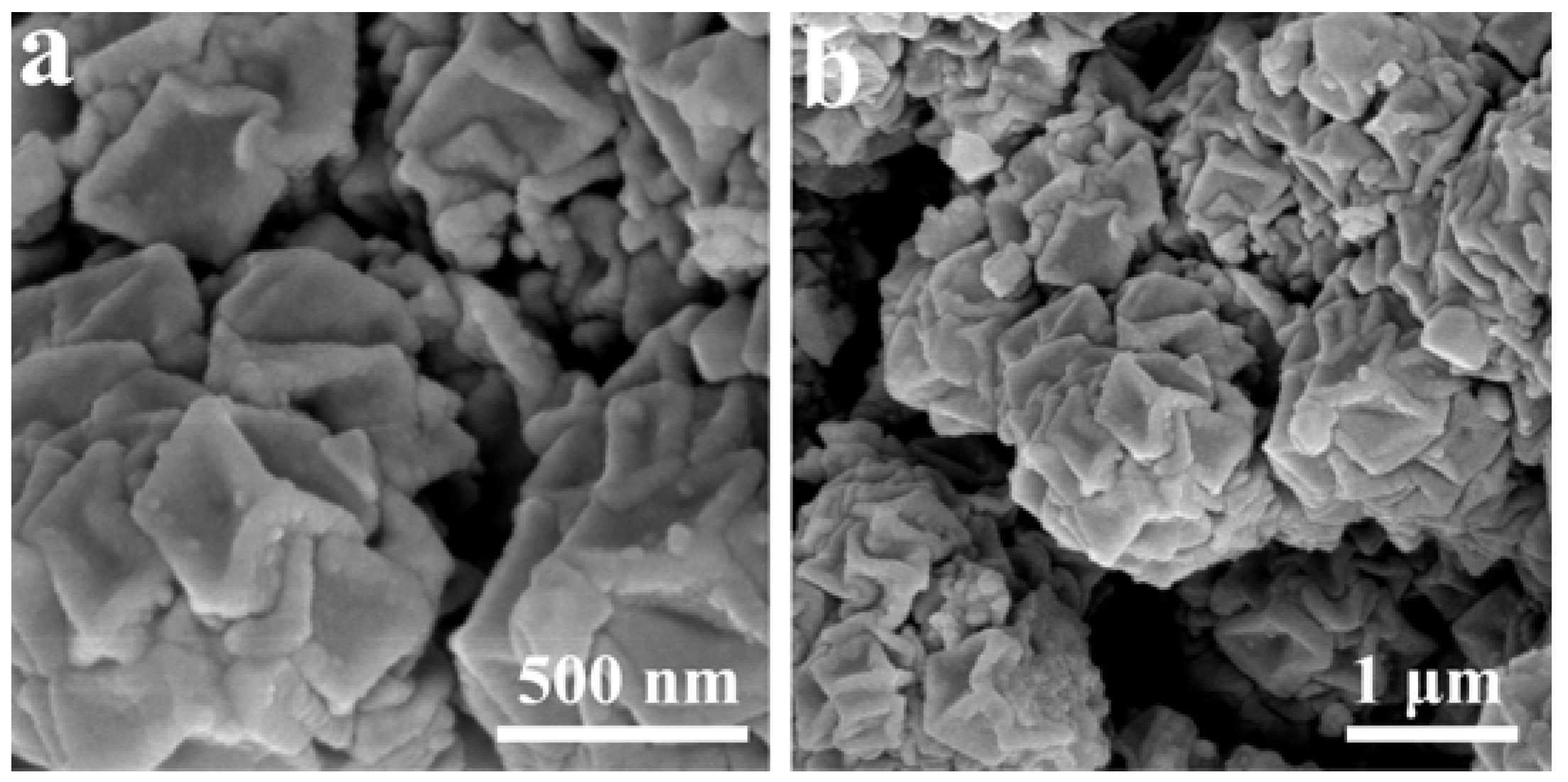 Molecules 28 07580 g003