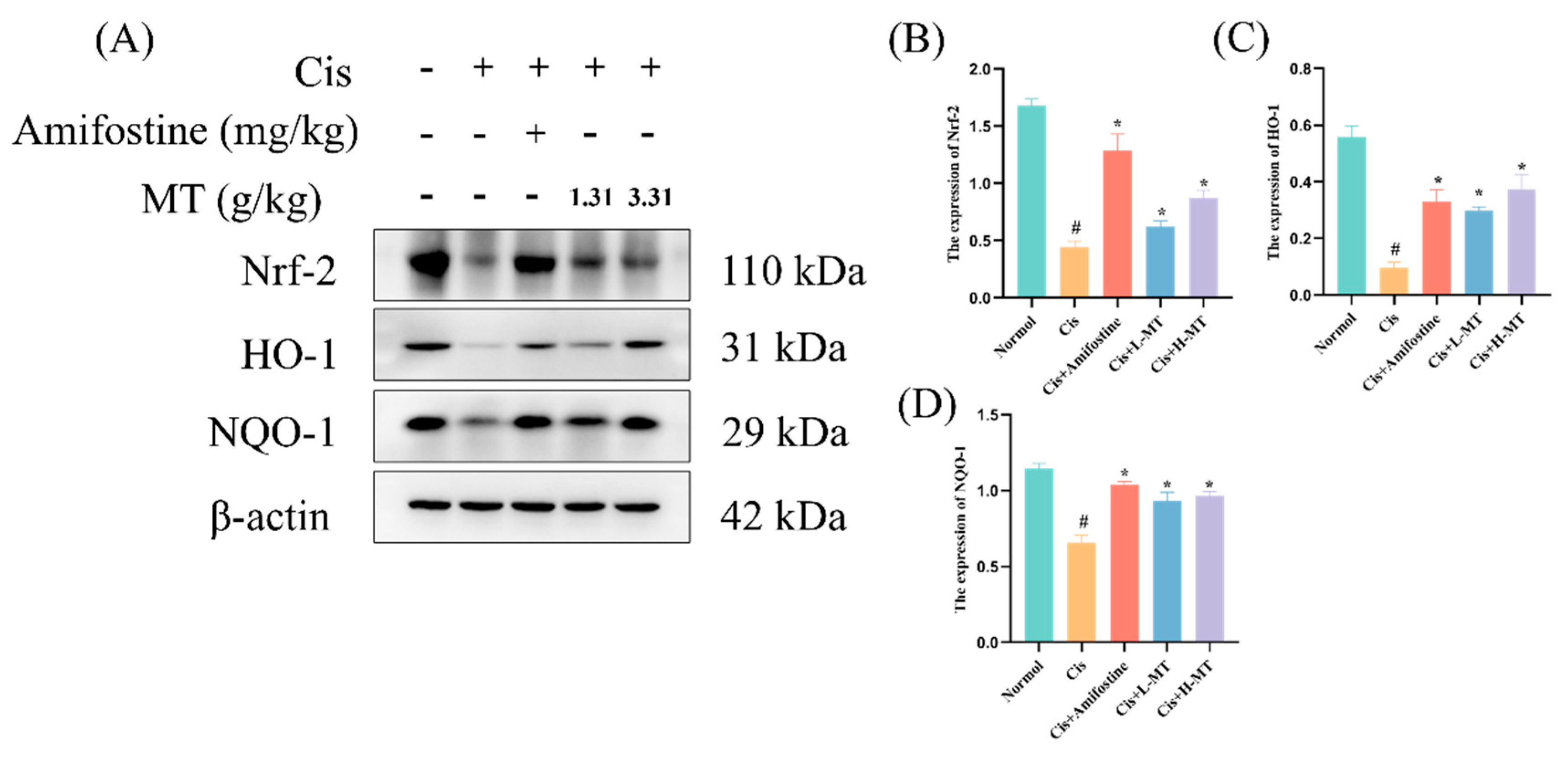 Molecules 28 07582 g004