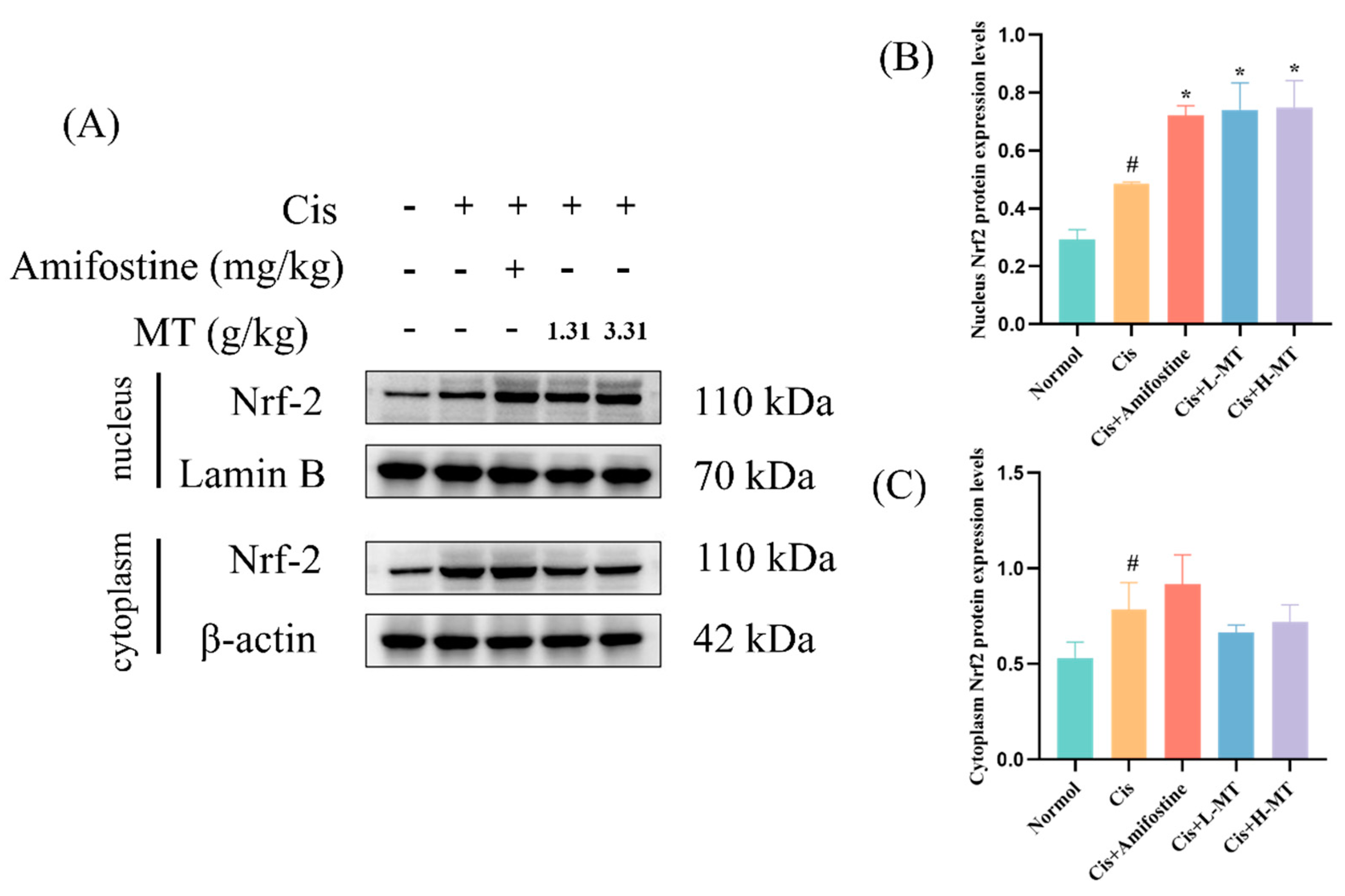 Molecules 28 07582 g005