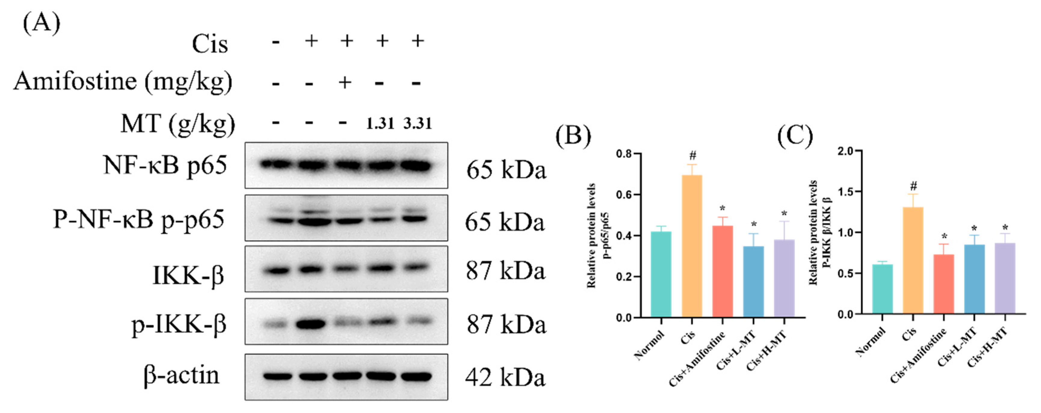Molecules 28 07582 g006