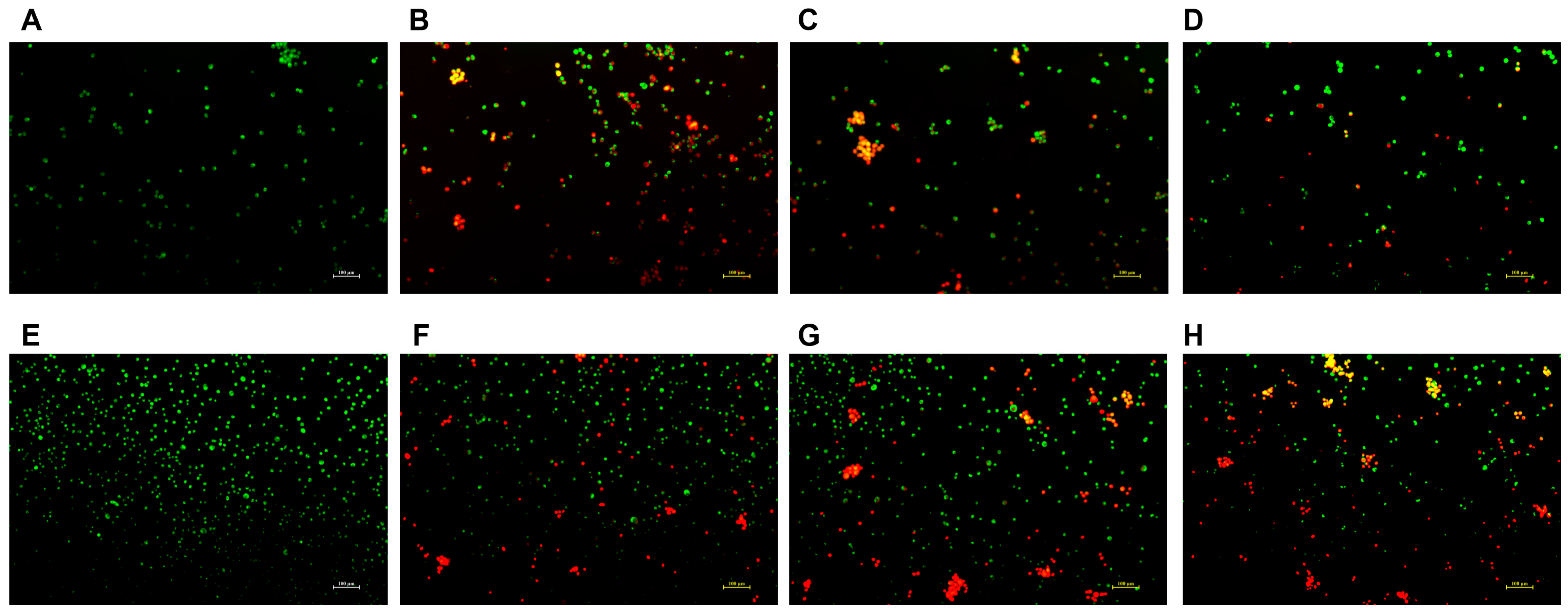 Molecules 28 07609 g007