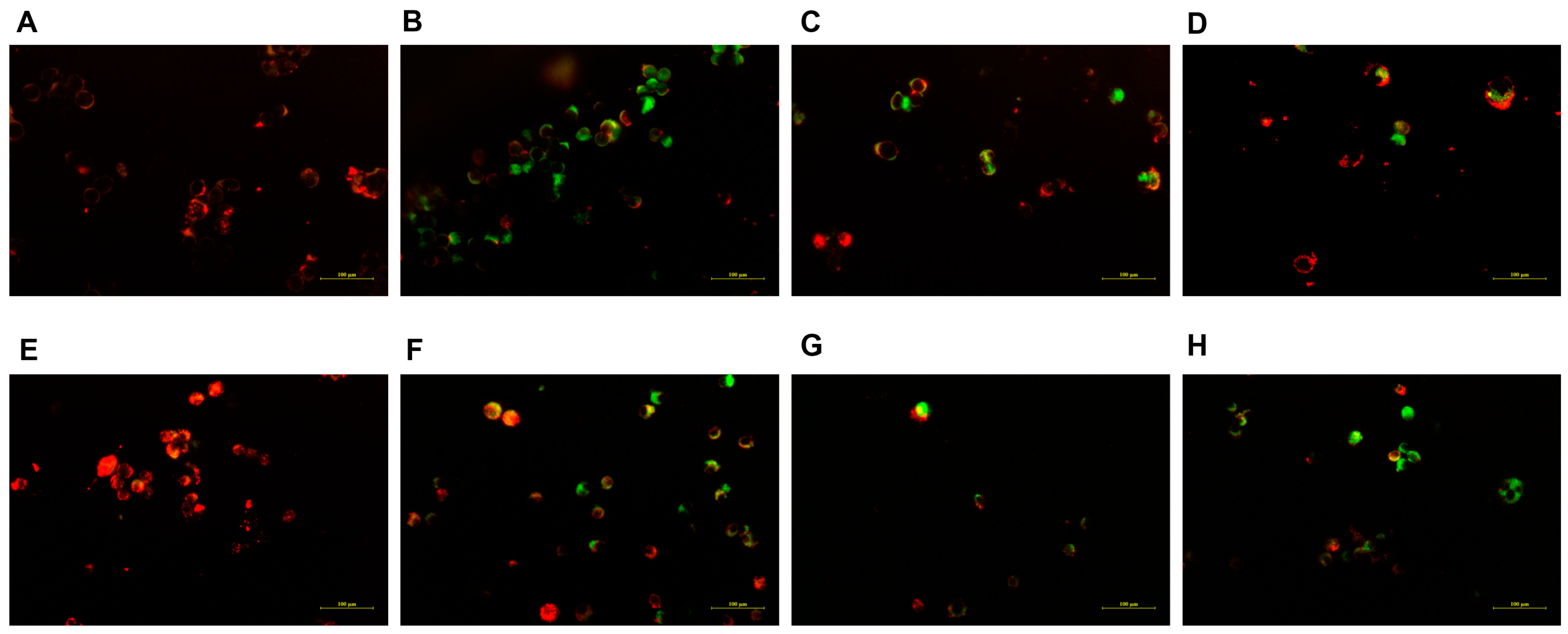 Molecules 28 07609 g008