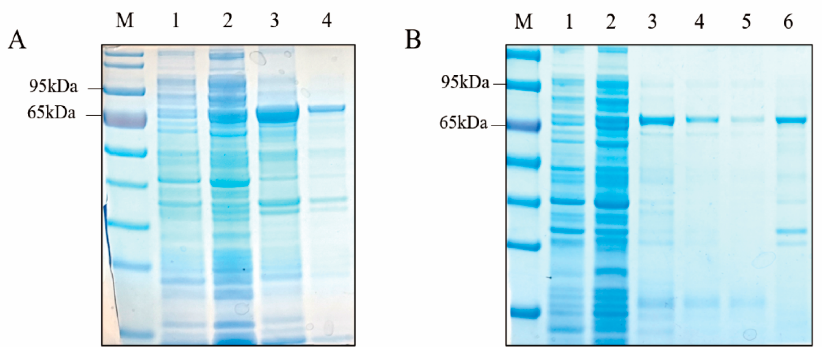 Molecules 28 07613 g003