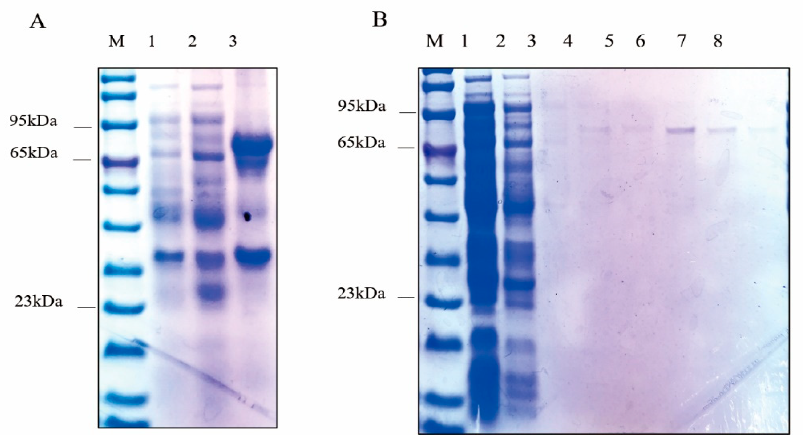 Molecules 28 07613 g004